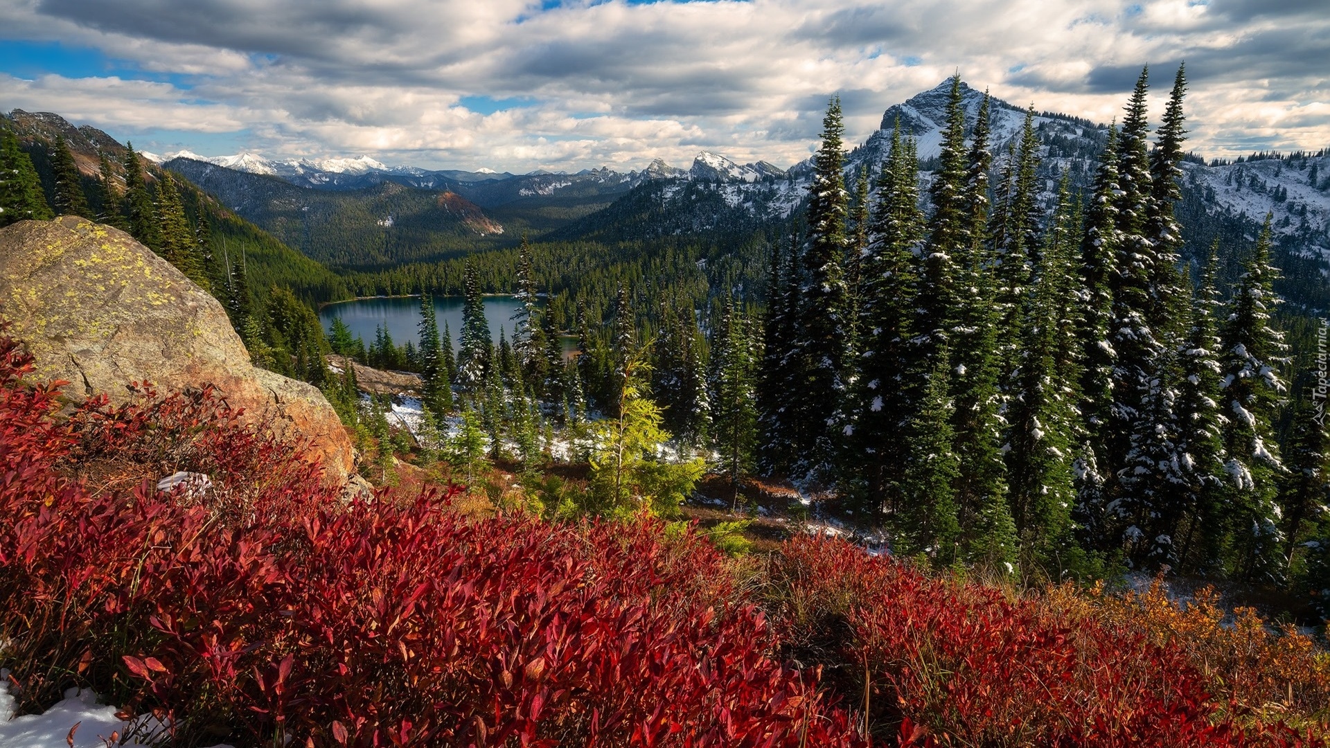 Stany Zjednoczone, Stan Waszyngton, Park Narodowy Mount Rainier, Góry, Lasy, Jezioro, Drzewa, Chmury