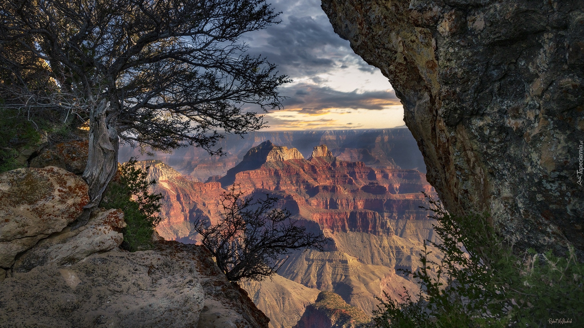 Kanion, Grand Canyon, Park Narodowy Wielkiego Kanionu, Skały, Drzewa, Arizona, Stany Zjednoczone