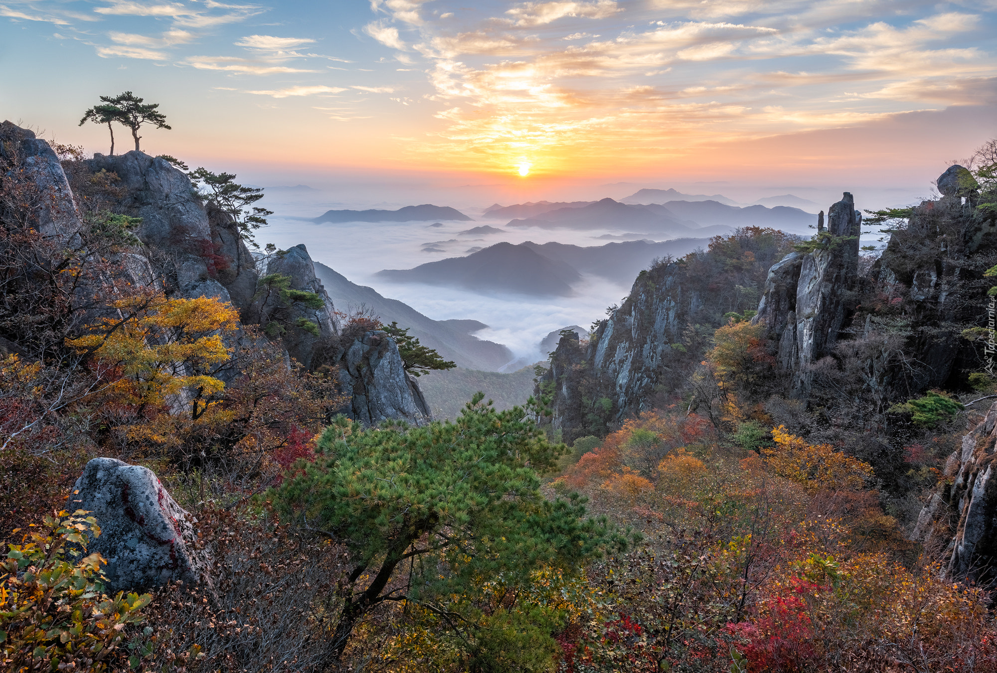 Park Prowincjonalny Daedunsan, Drzewa, Sosny, Skały, Mgła, Wschód słońca, Jesień, Korea Południowa