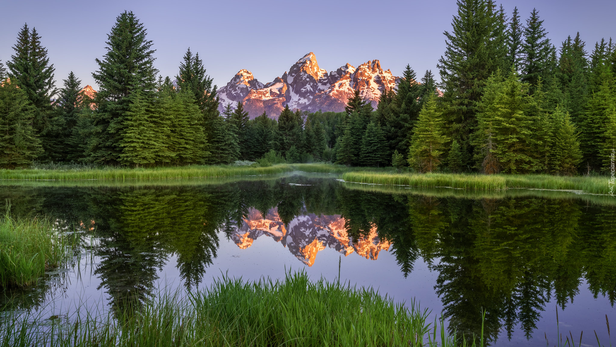 Park Narodowy Grand Teton, Góry, Teton Range, Las, Drzewa, Odbicie, Rzeka Snake River, Stan Wyoming, Stany Zjednoczone