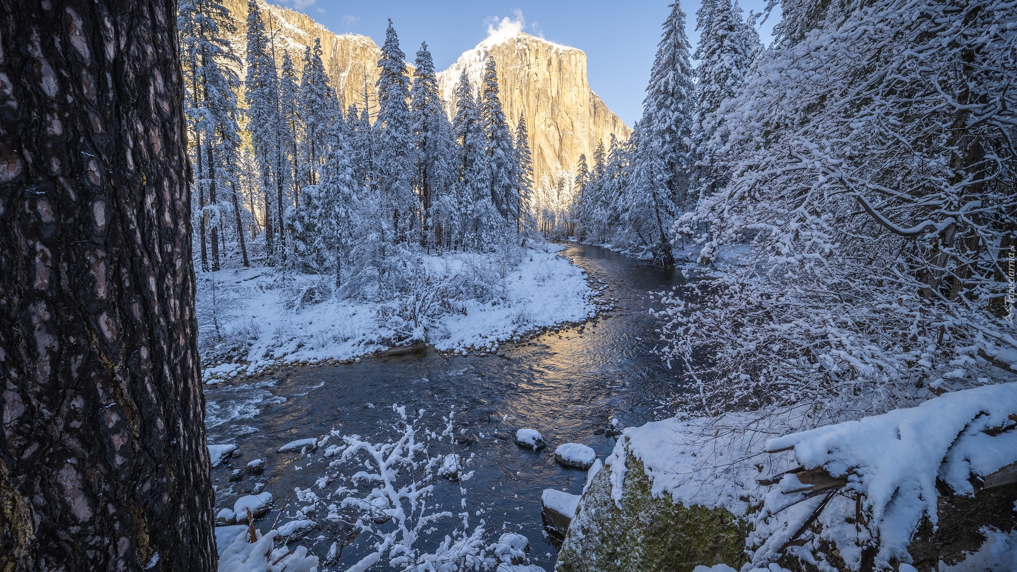 Zima, Śnieg, Góra, Half Dome, Drzewa, Rzeka Merced, Park Narodowy Yosemite, Kalifornia, Stany Zjednoczone