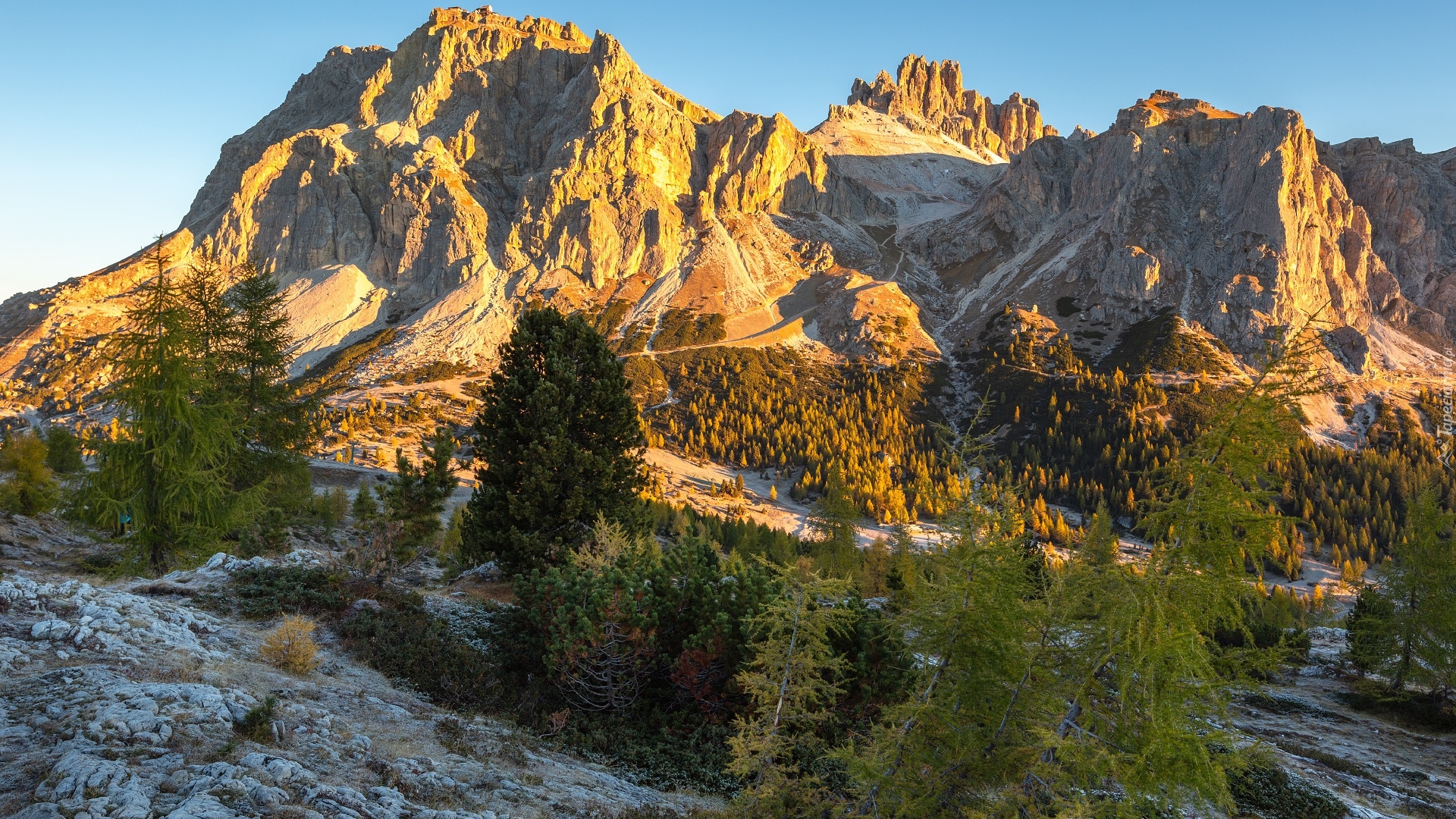 Góry, Dolomity, Drzewa, Włochy