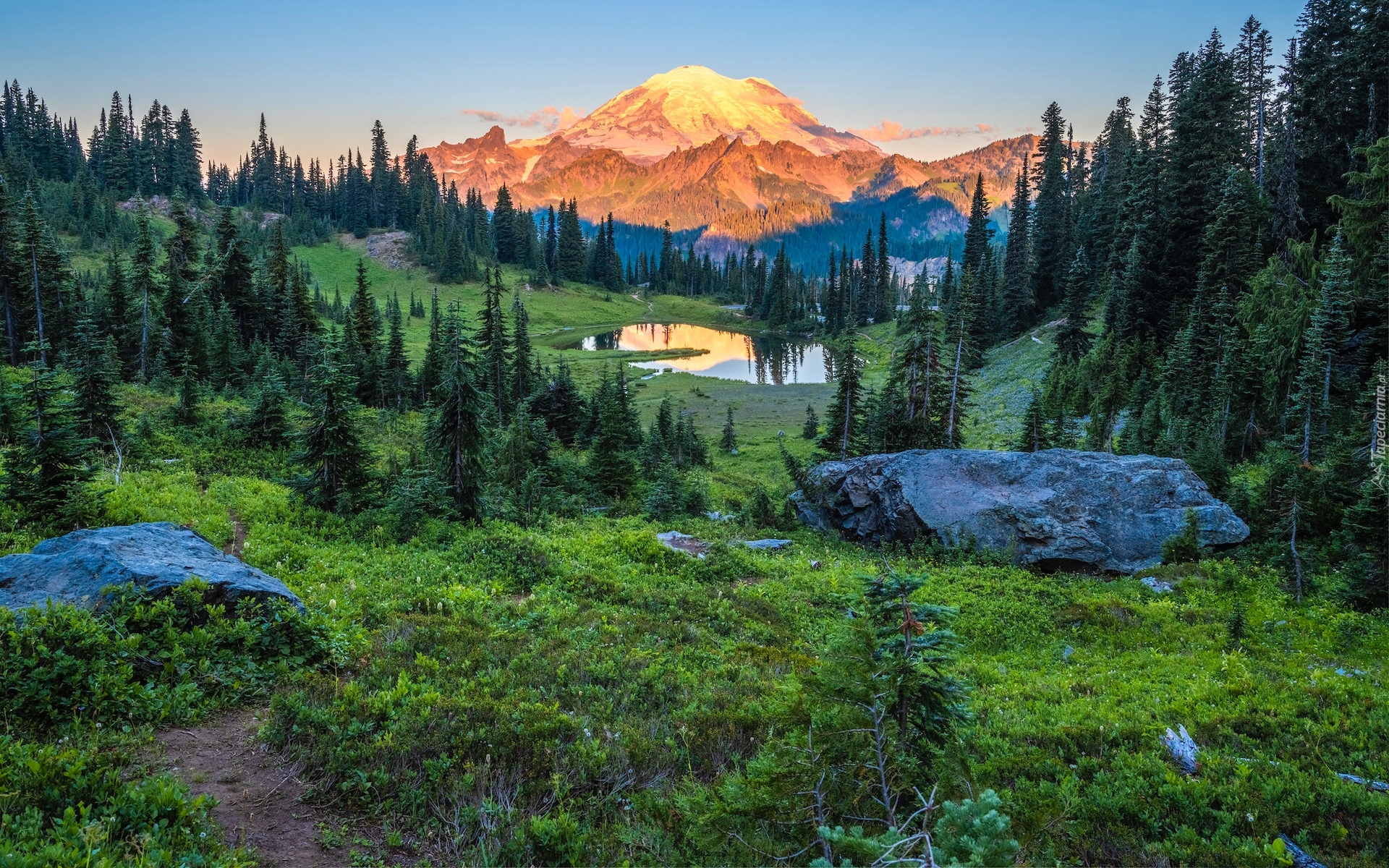 Stany Zjednoczone, Park Narodowy Mount Rainier, Góry, Mount Rainier, Jezioro, Tipsoo Lake, Drzewa, Kamienie