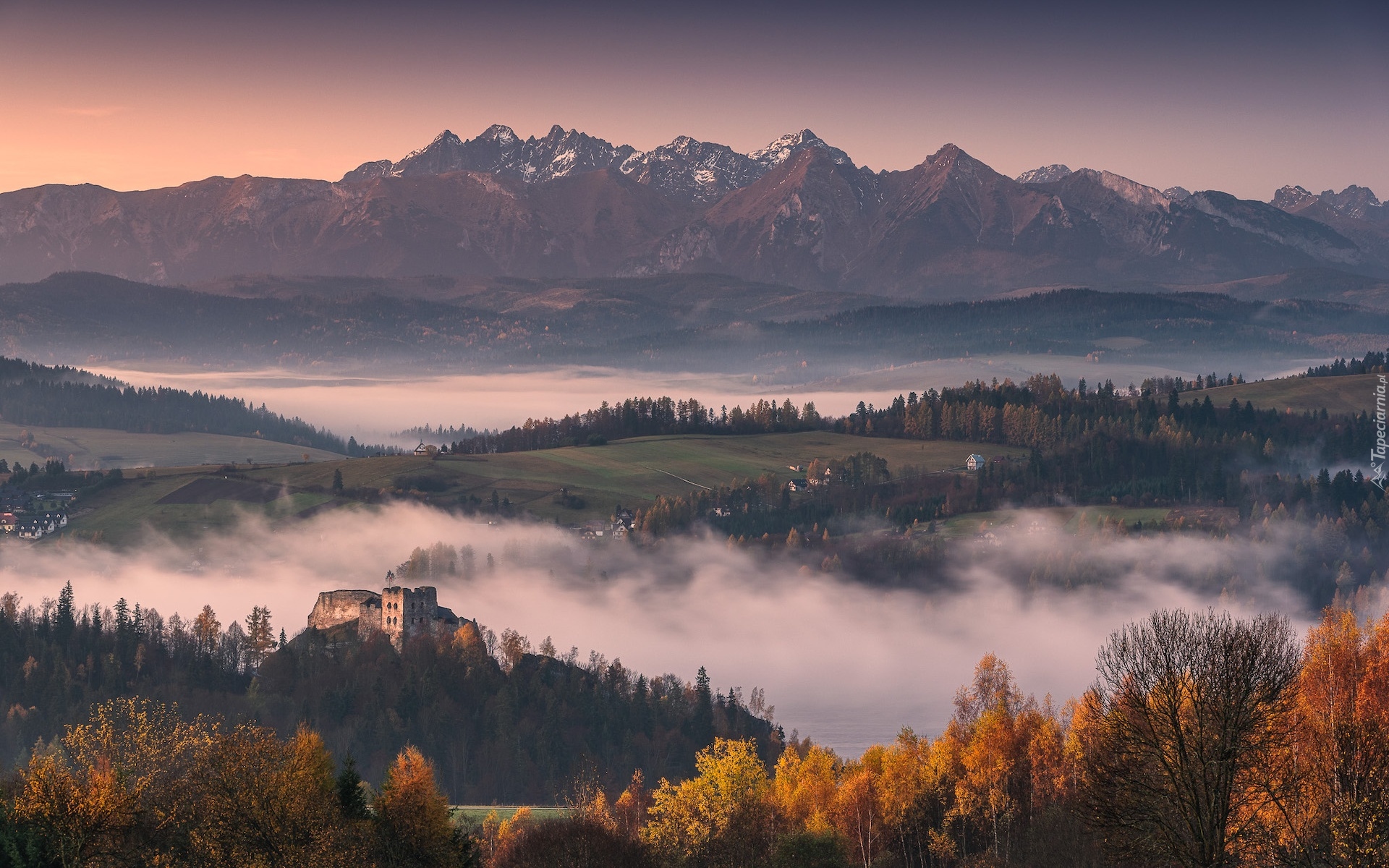 Polska, Czorsztyn, Ruiny, Zamek w Czorsztynie, Drzewa, Góry, Tatry, Mgła, Jesień