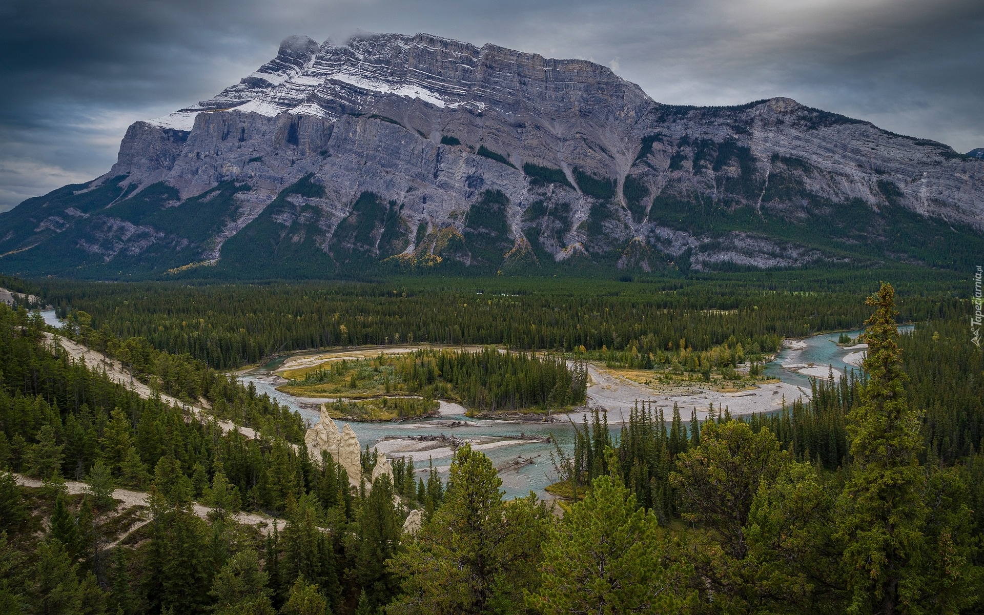 Góry, Rzeka, Bow River, Drzewa, Świerki, Park Narodowy Banff, Alberta, Kanada