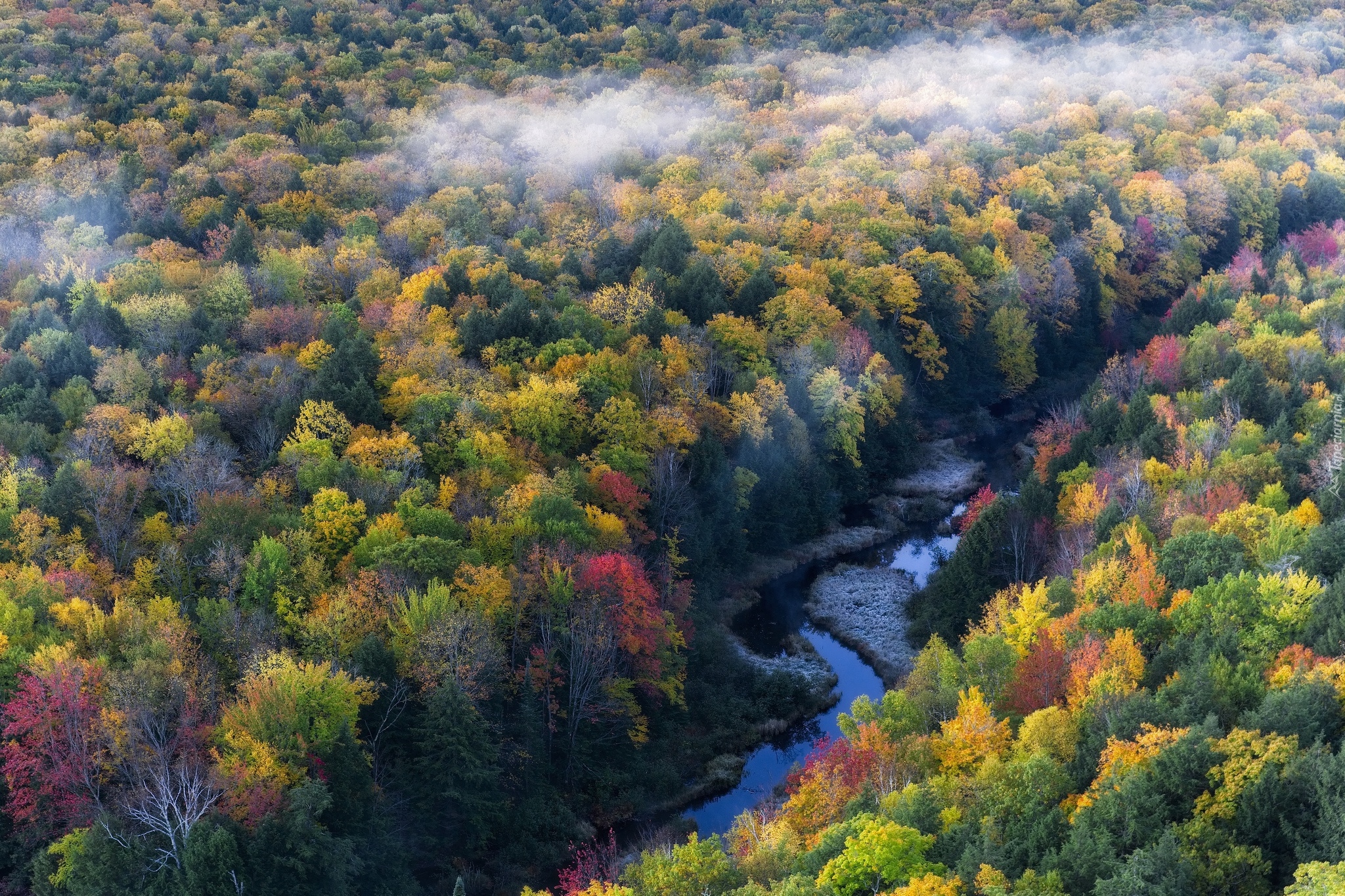 Stany Zjednoczone, Stan Michigan, Hrabstwo Ontonagon, Rzeka Carp River, Jesień, Las, Drzewa, Rzeka, Mgła