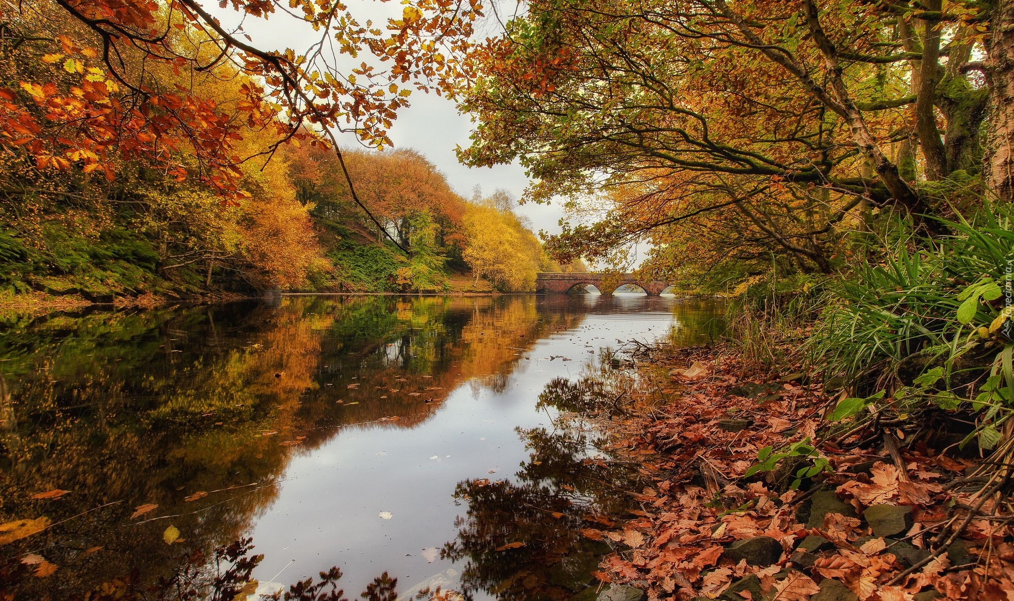 Rzeka, Mostek, Drzewa, Jesień