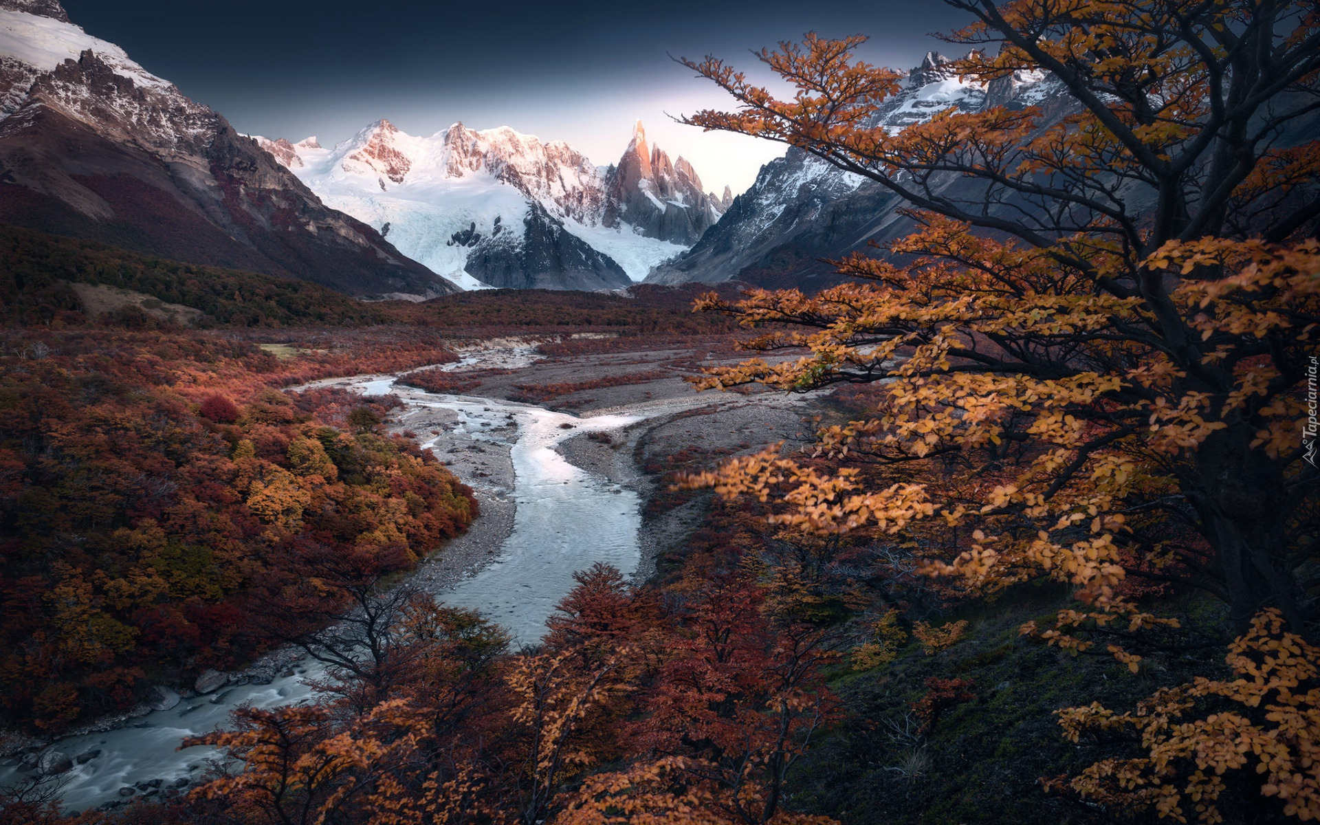 Góry, Andy, Szczyt, Cerro Torre, Park Narodowy Los Glaciares, Drzewa, Jesień, Rzeka, Patagonia, Argentyna