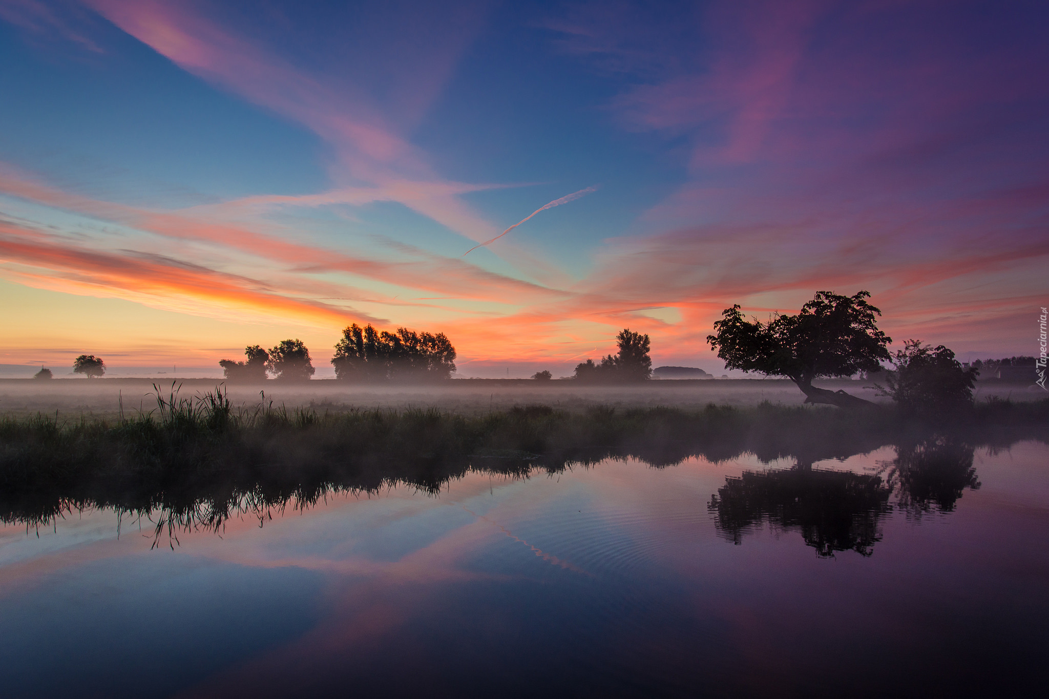 Anglia, Ely, Rzeka Ouse, Mgła, Zachód słońca, Drzewa, Odbicie