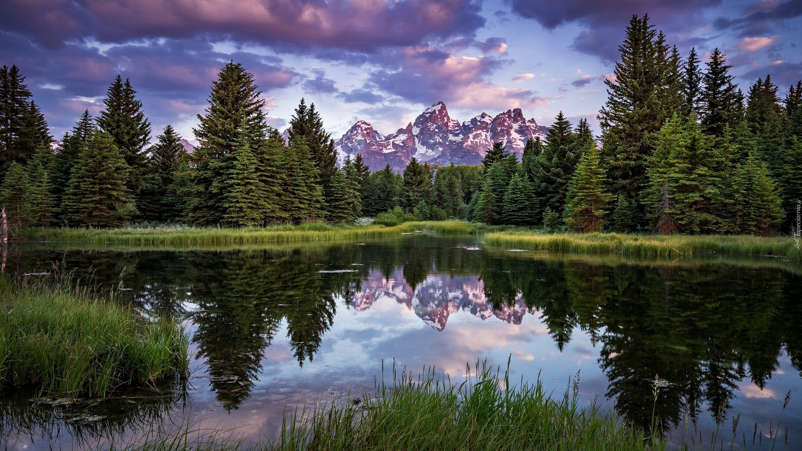 Park Narodowy Grand Teton, Rzeka Snake River, Góry Teton Range, Las, Drzewa, Ciemne, Chmury, Odbicie, Stan Wyoming, Stany Zjednoczone