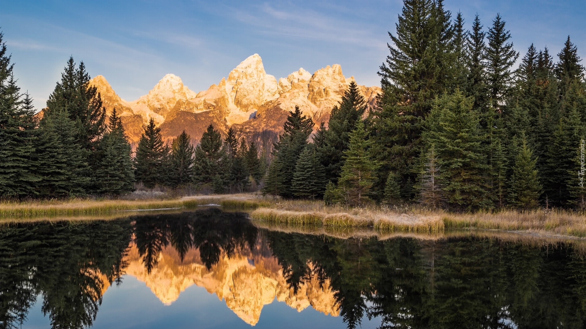 Stany Zjednoczone, Stan Wyoming, Park Narodowy Grand Teton, Rzeka Snake River, Góry Teton Range, Odbicie, Drzewa