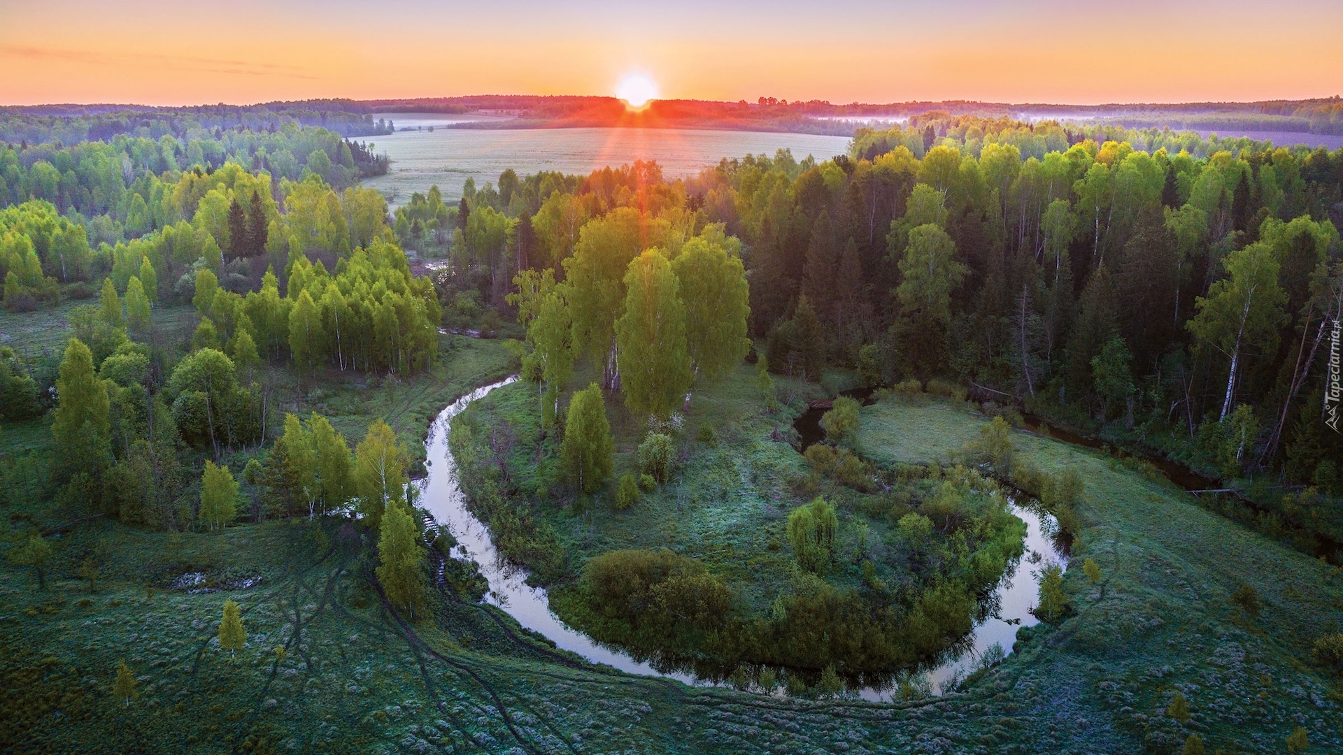 Wschód słońca, Drzewa, Roślinność, Rzeka, Uzola, Obwód niżnonowogrodzki, Rosja