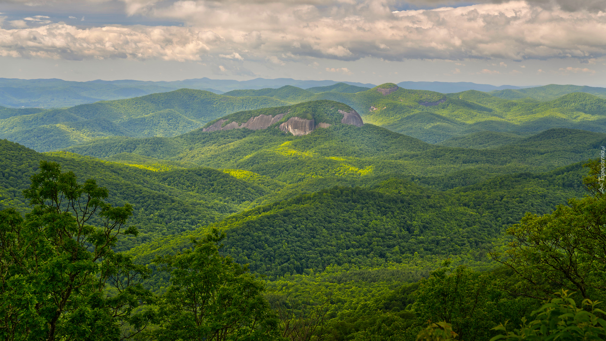 Zalesione, Góry, Appalachy, Zielone, Wzgórza, Drzewa, Skała, Looking Glass Rock, Karolina Północna, Stany Zjednoczone