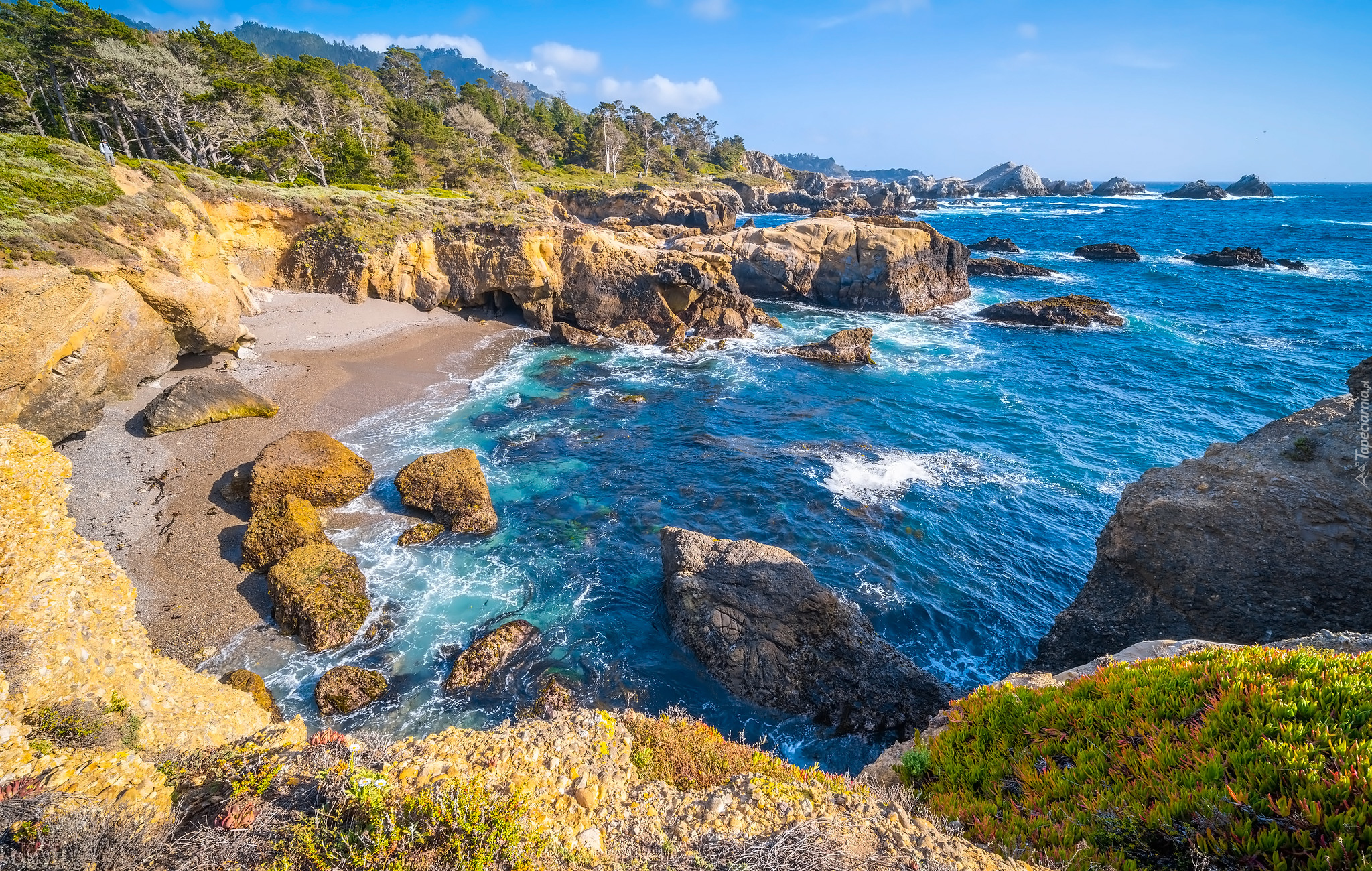 Skały, Morze, Kamienie, Plaża, Rezerwat przyrody, Point Lobos, Kalifornia, Stany Zjednoczone