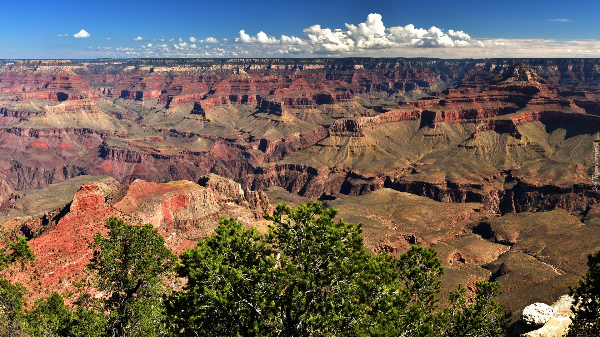 Stany Zjednoczone, Arizona, Park Narodowy Wielkiego Kanionu, Grand Canyon National Park, Kanion, Góry, Skały, Drzewa