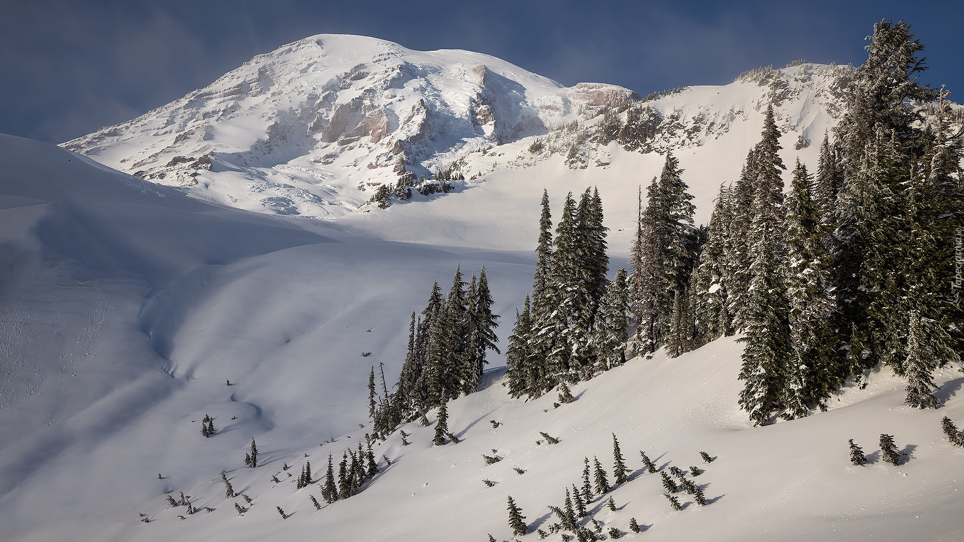 Zima, Góry, Stratowulkan, Mount Rainier, Drzewa, Park Narodowy Mount Rainier, Stan Waszyngton, Stany Zjednoczone