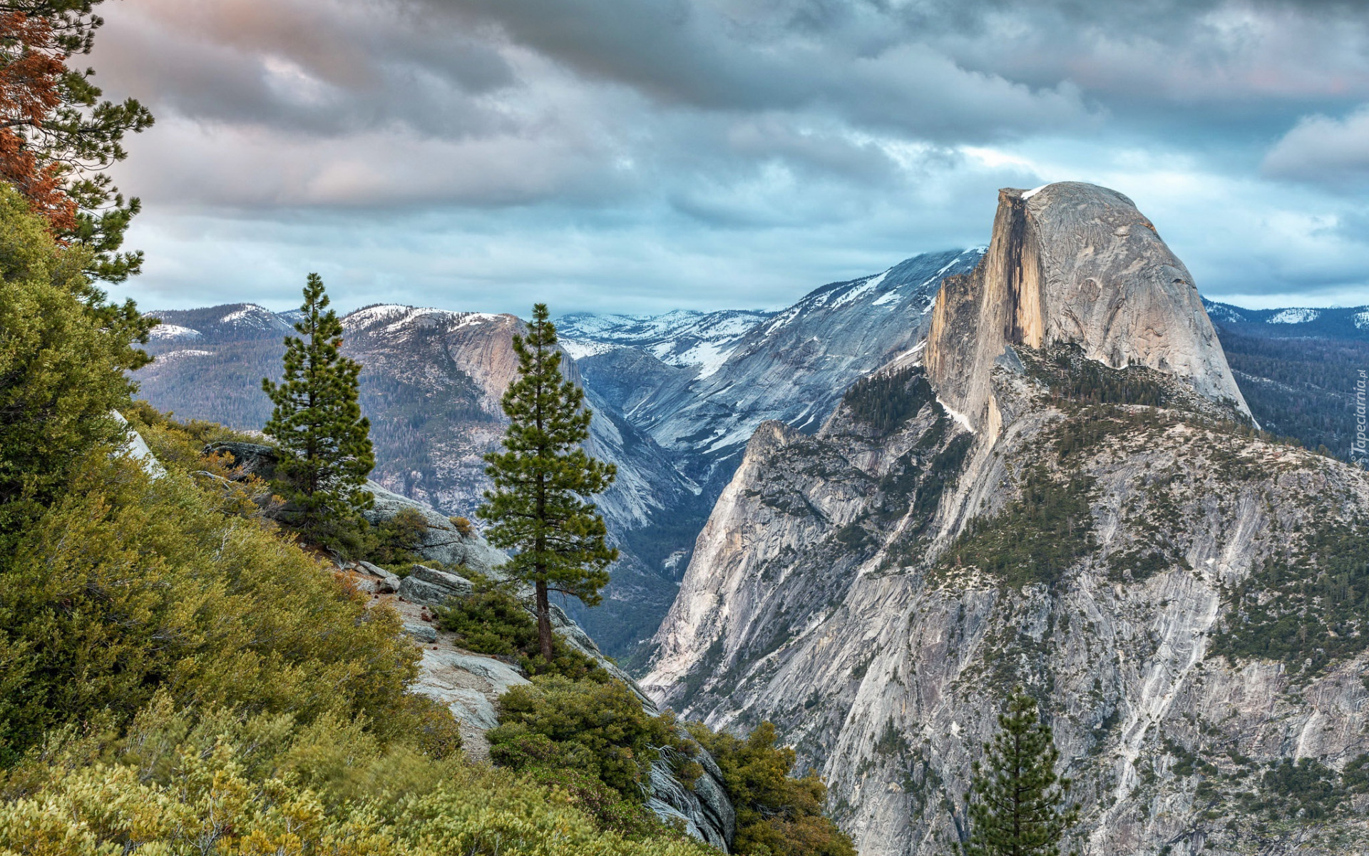 Stany Zjednoczone, Stan Kalifornia, Park Narodowy Yosemite, Góry, Szczyt Half Dome, Drzewa