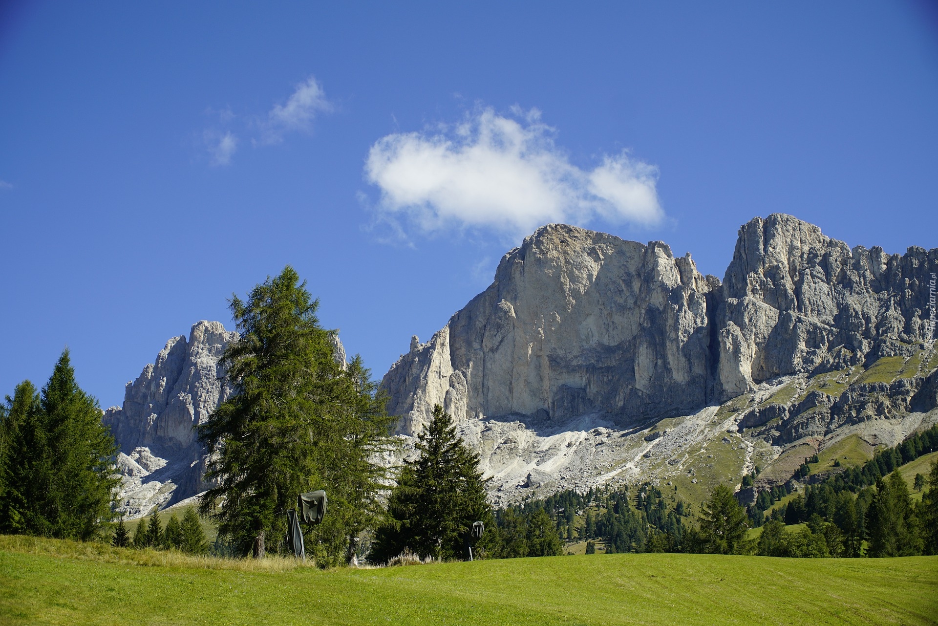 Szczyt, Roda di Vael, Góry, Dolomity, Drzewa, Łąka, Włochy