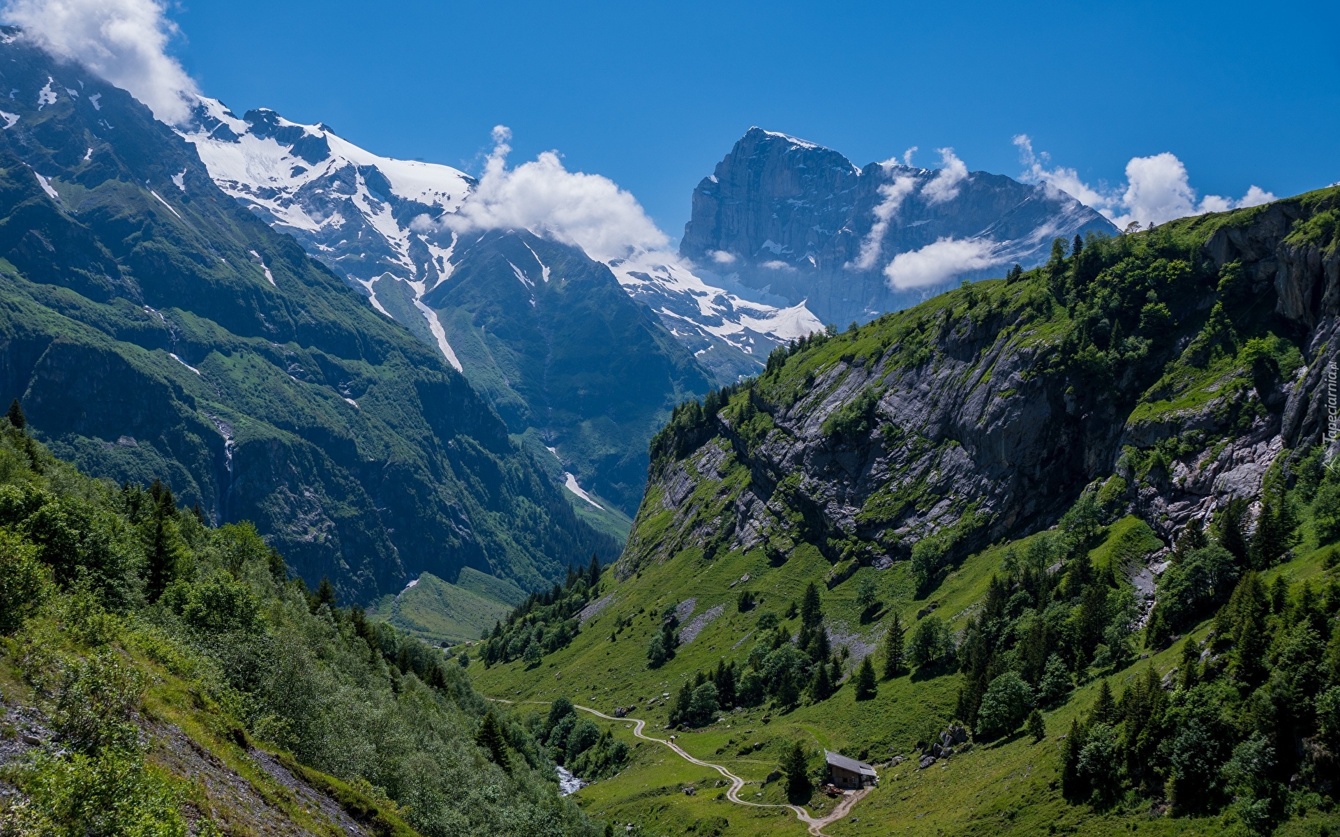 Góry, Alpy Berneńskie, Szczyt Titlis, Skały, Lasy, Drzewa, Dolina, Roślinność, Engelberg, Kanton Obwalden, Szwajcaria