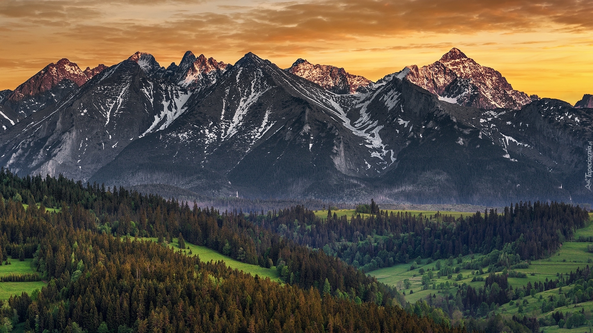 Góry, Tatry, Kasprowy Wierch, Lasy, Polska