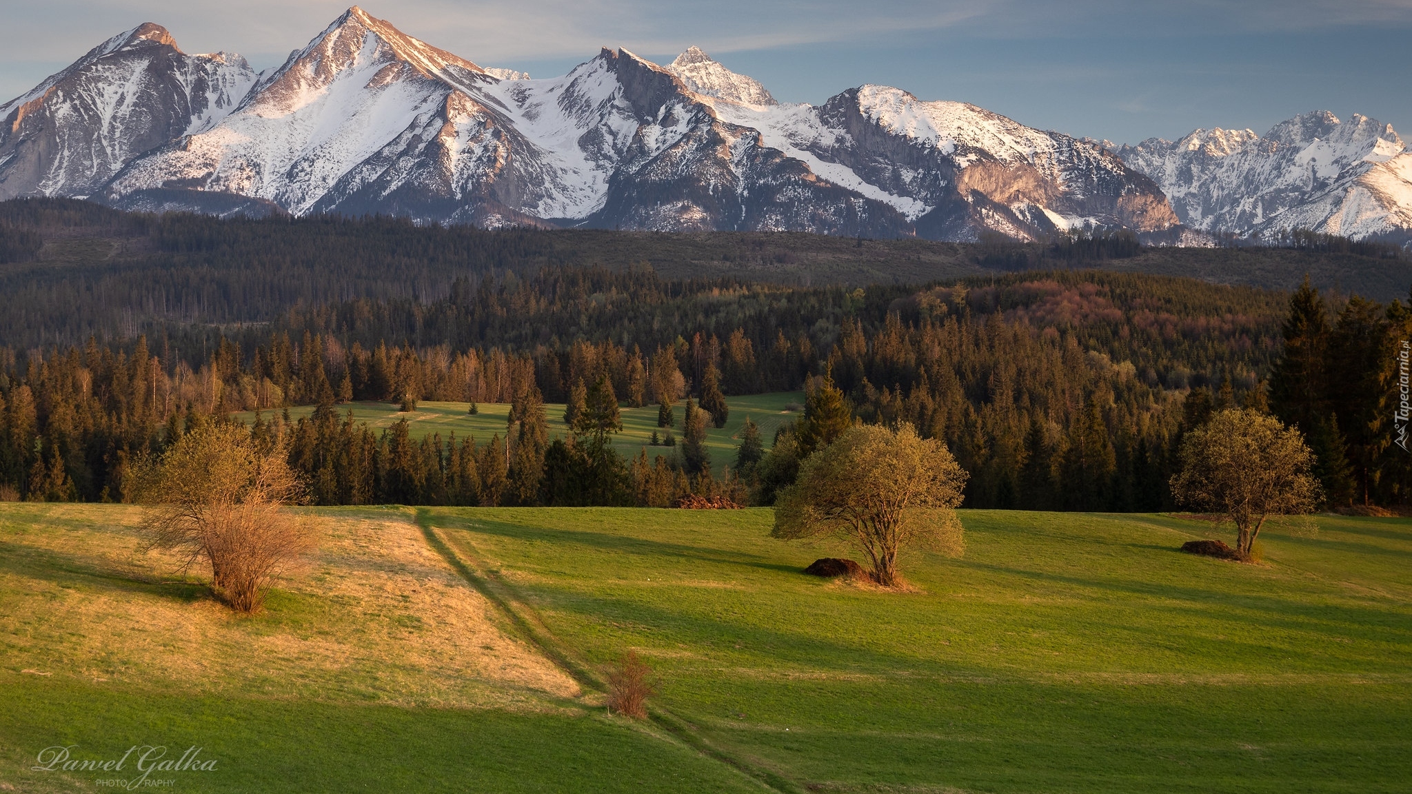 Góry, Ośnieżone, Tatry, Wieś Łapszanka, Drzewa, Łąka, Powiat nowotarski, Polska