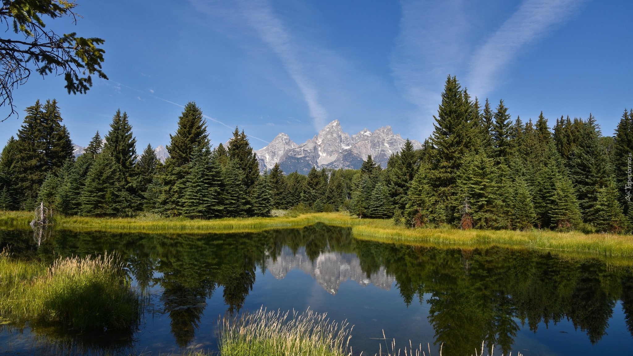 Stany Zjednoczone, Stan Wyoming, Park Narodowy Grand Teton, Rzeka Snake River, Drzewa, Góry Teton Range, Odbicie