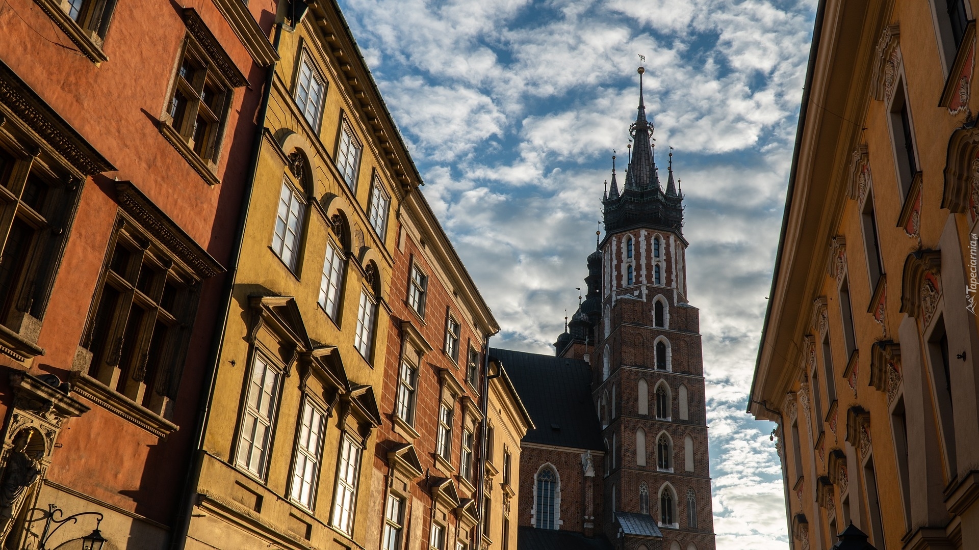 Wieża, Hejnalica, Kościół Mariacki, Bazylika Mariacka, Kościół Wniebowzięcia Najświętszej Marii Panny, Domy, Kamienice, Kraków, Polska