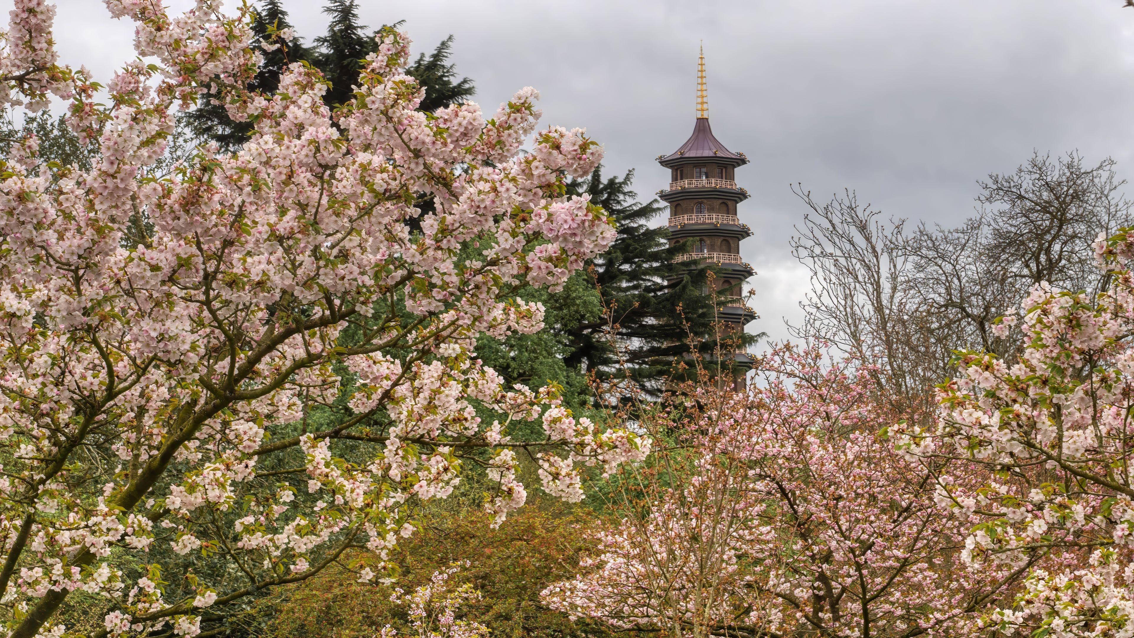 Pagoda, Wieża, Drzewa, Kwiaty, Wiosna