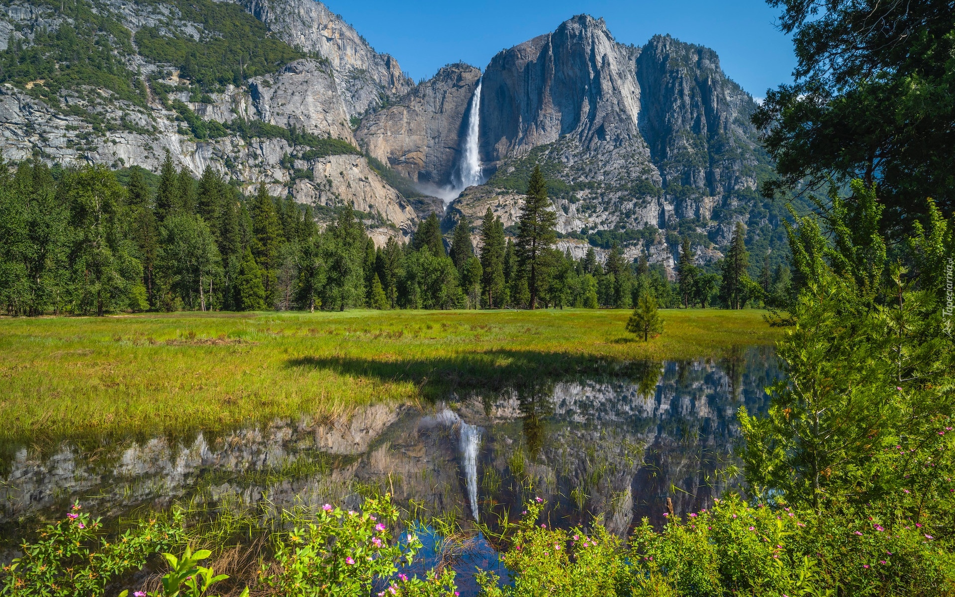 Stany Zjednoczone, Kalifornia, Park Narodowy Yosemite, Skały, Wodospad, Drzewa, Kwiaty, Góry