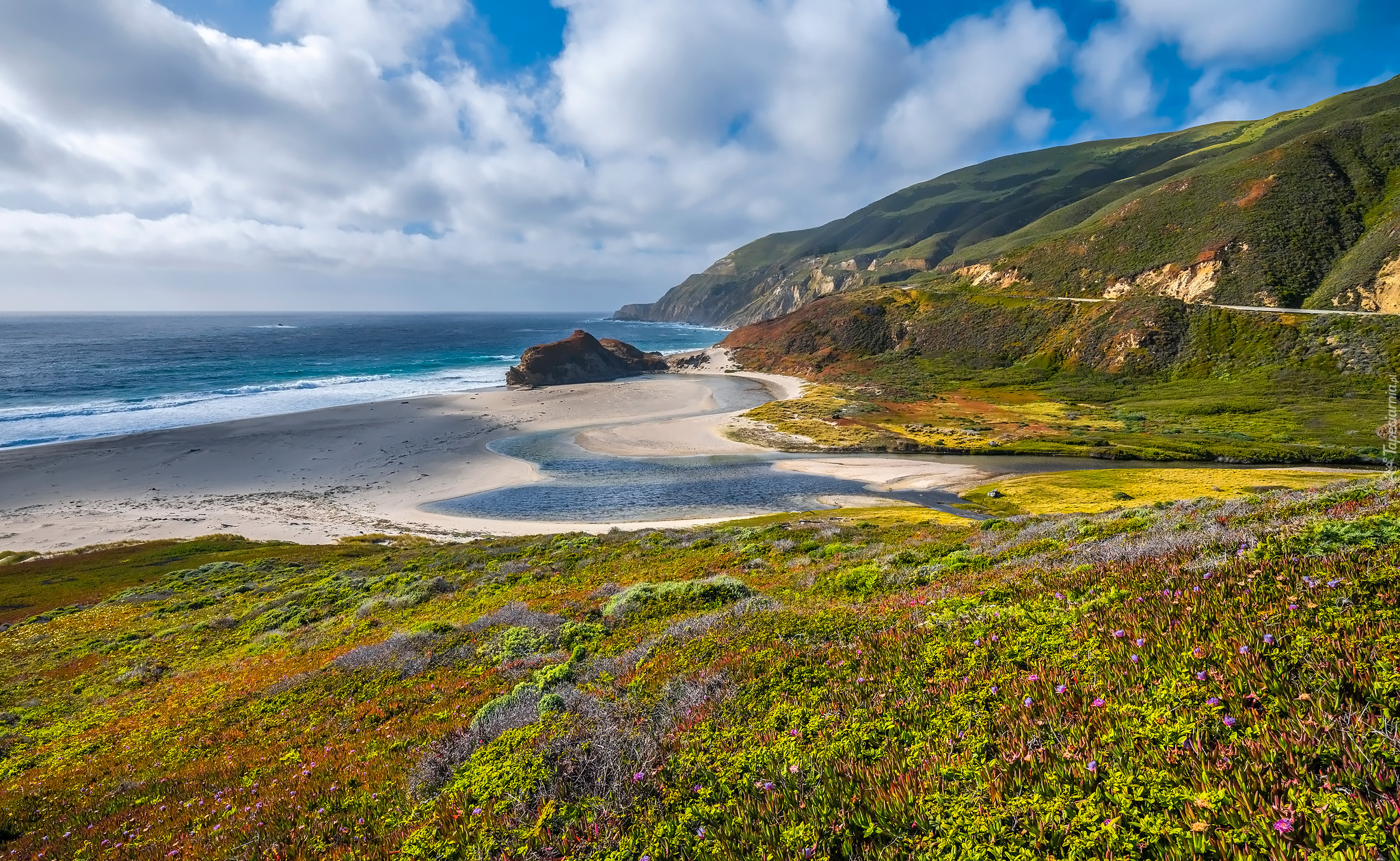 Morze, Góry, Kwiaty, Plaża, Wybrzeże, Big Sur, Kalifornia, Stany Zjednoczone