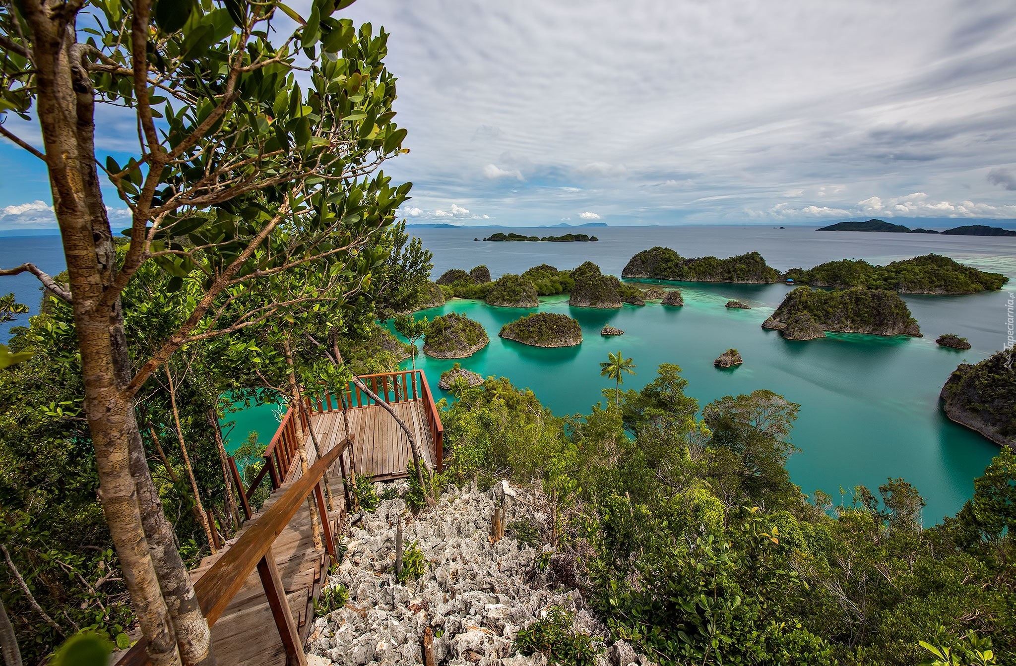 Indonezja, Wysepki Fam Islands, Morze, Drzewa, Pomost, Wysepki