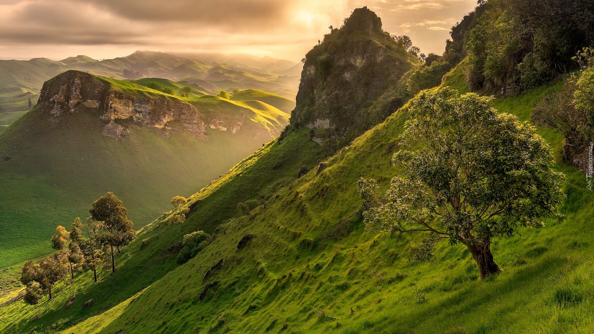 Nowa Zelandia, Region Hawkes Bay, Góry Te Mata Peak, Wzgórza, Góry, Wschód słońca, Dolina, Drzewa