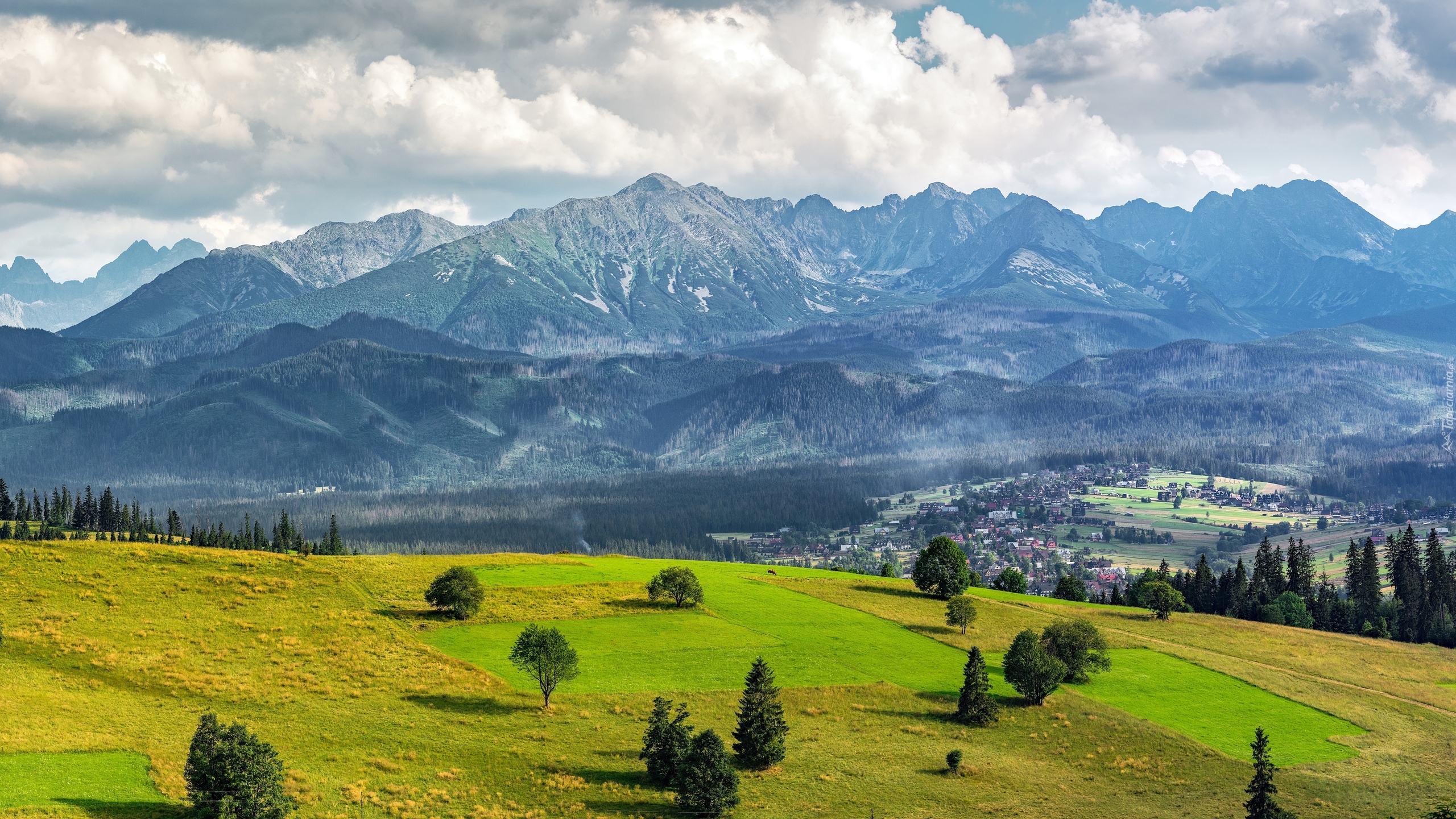 Góry, Tatry, Drzewa, Dolina, Zakopane, Polska