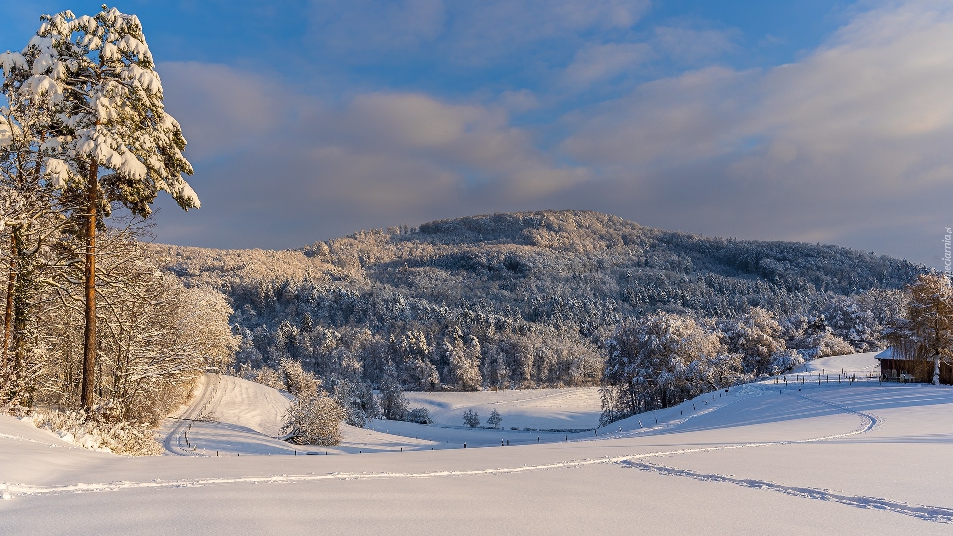 Zima, Góra, Śnieg, Ośnieżone, Drzewa, Ścieżki