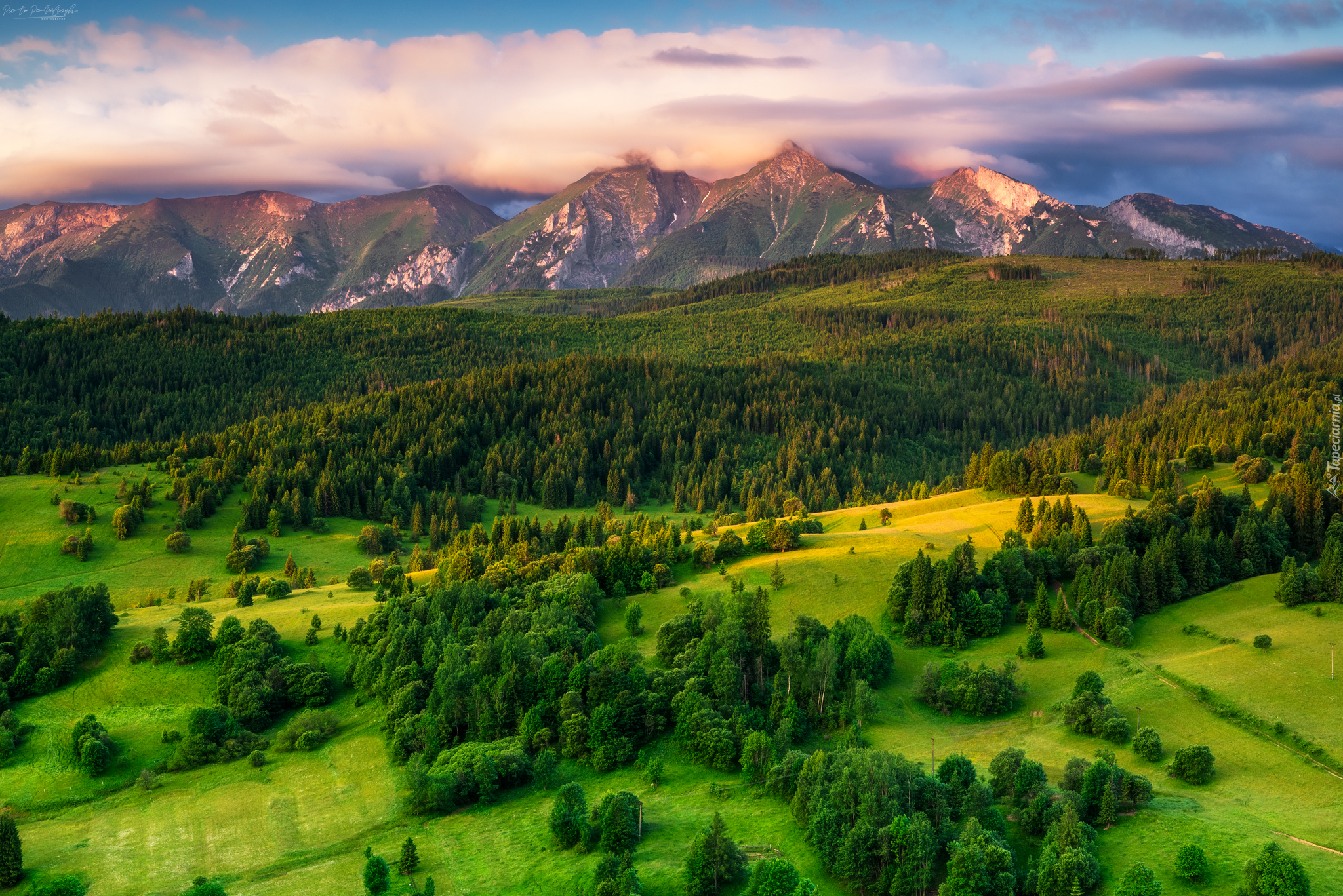 Słowacja, Góry, Tatry, Wzgórze, Lasy, Łąki, Chmury, Poranek