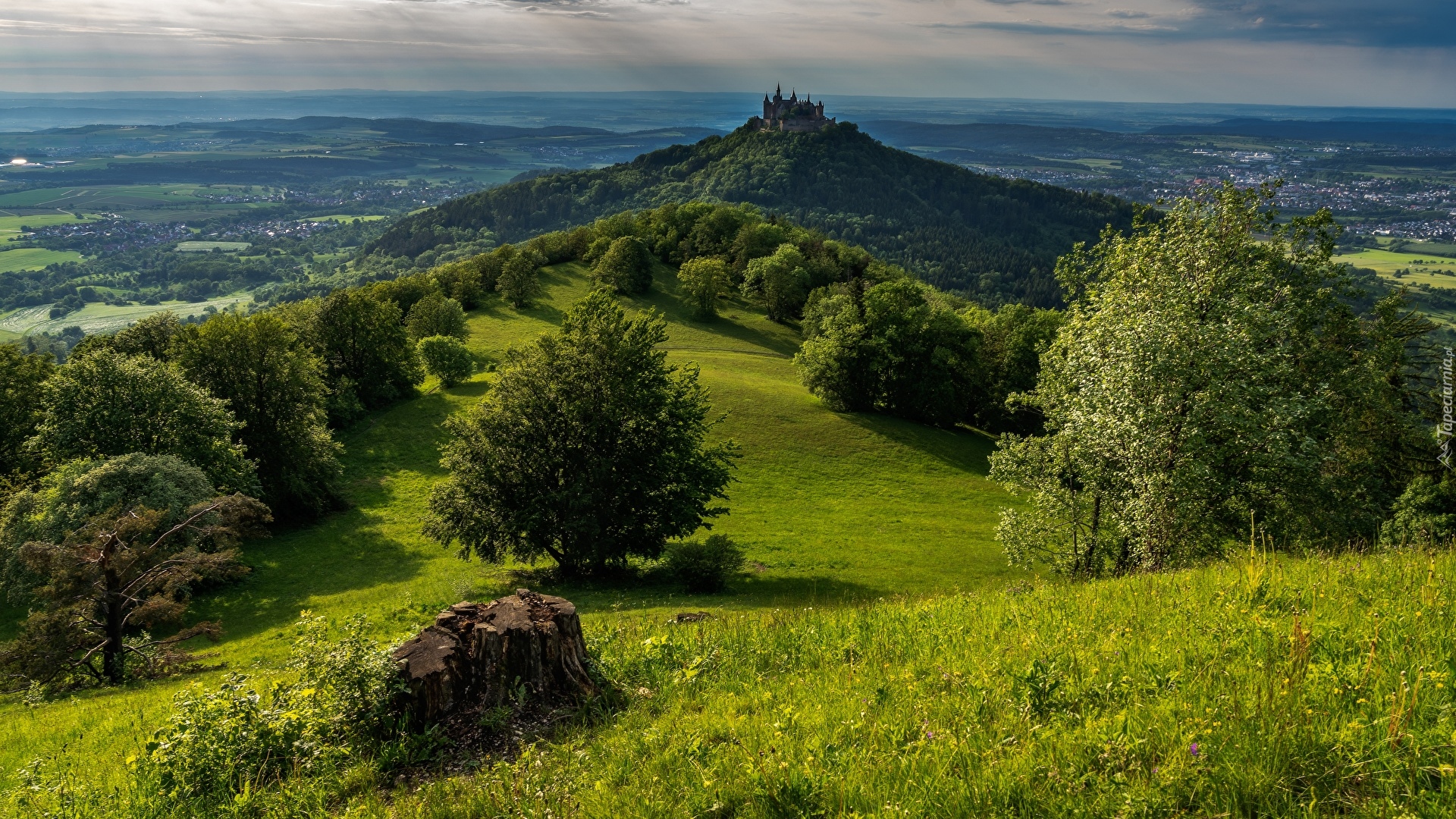 Góra Hohenzollern, Zamek Hohenzollern, Drzewa, Chmury, Wzgórze, Badenia-Wirtembergia, Niemcy