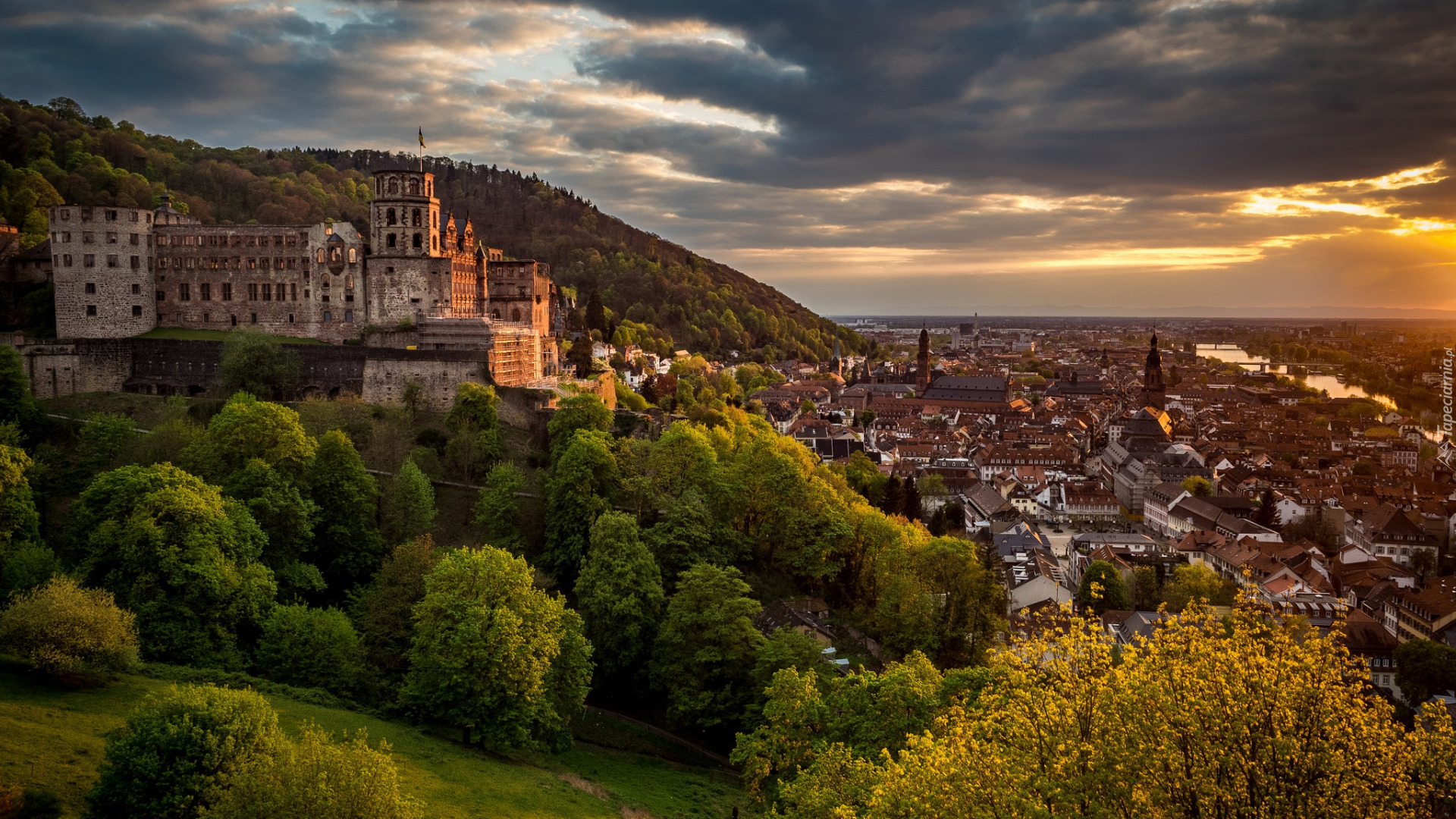 Zamek w Heidelbergu, Drzewa, Rzeka Neckar, Heidelberg, Niemcy