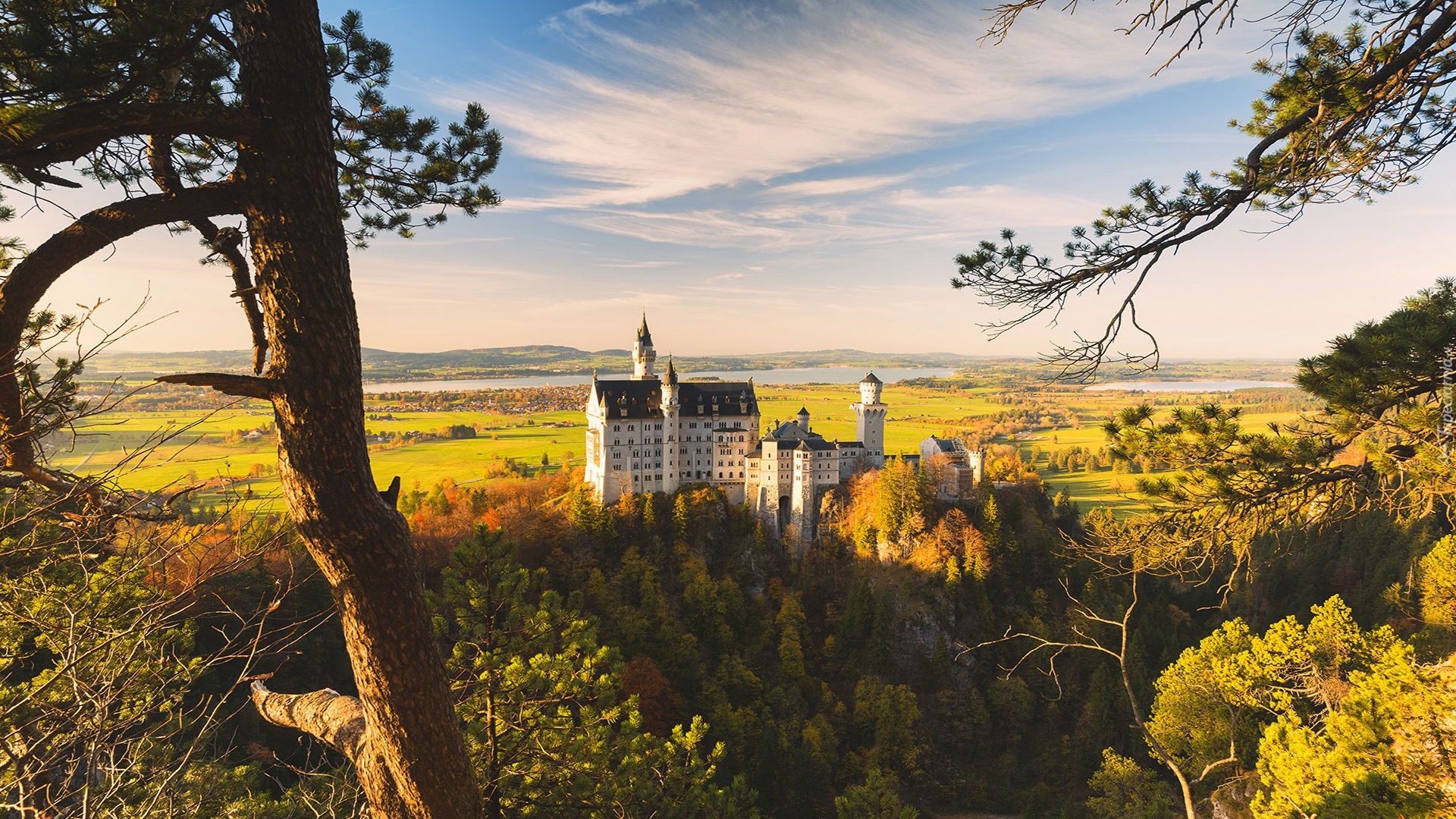 Jesień, Wzgórze, Zamek Neuschwanstein, Drzewa, Pola, Bawaria, Niemcy