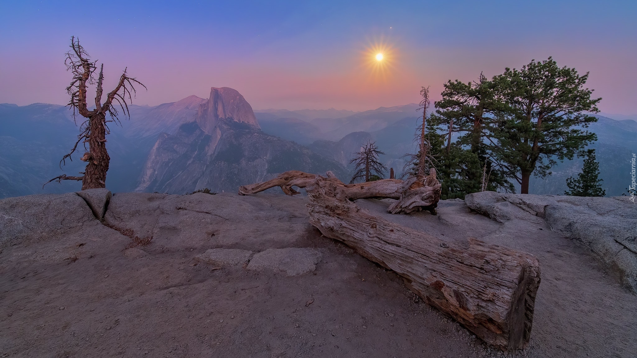 Góry, Skały, Drzewa, Suchy, Konar, Mgła, Park Narodowy Yosemite, Kalifornia, Stany Zjednoczone