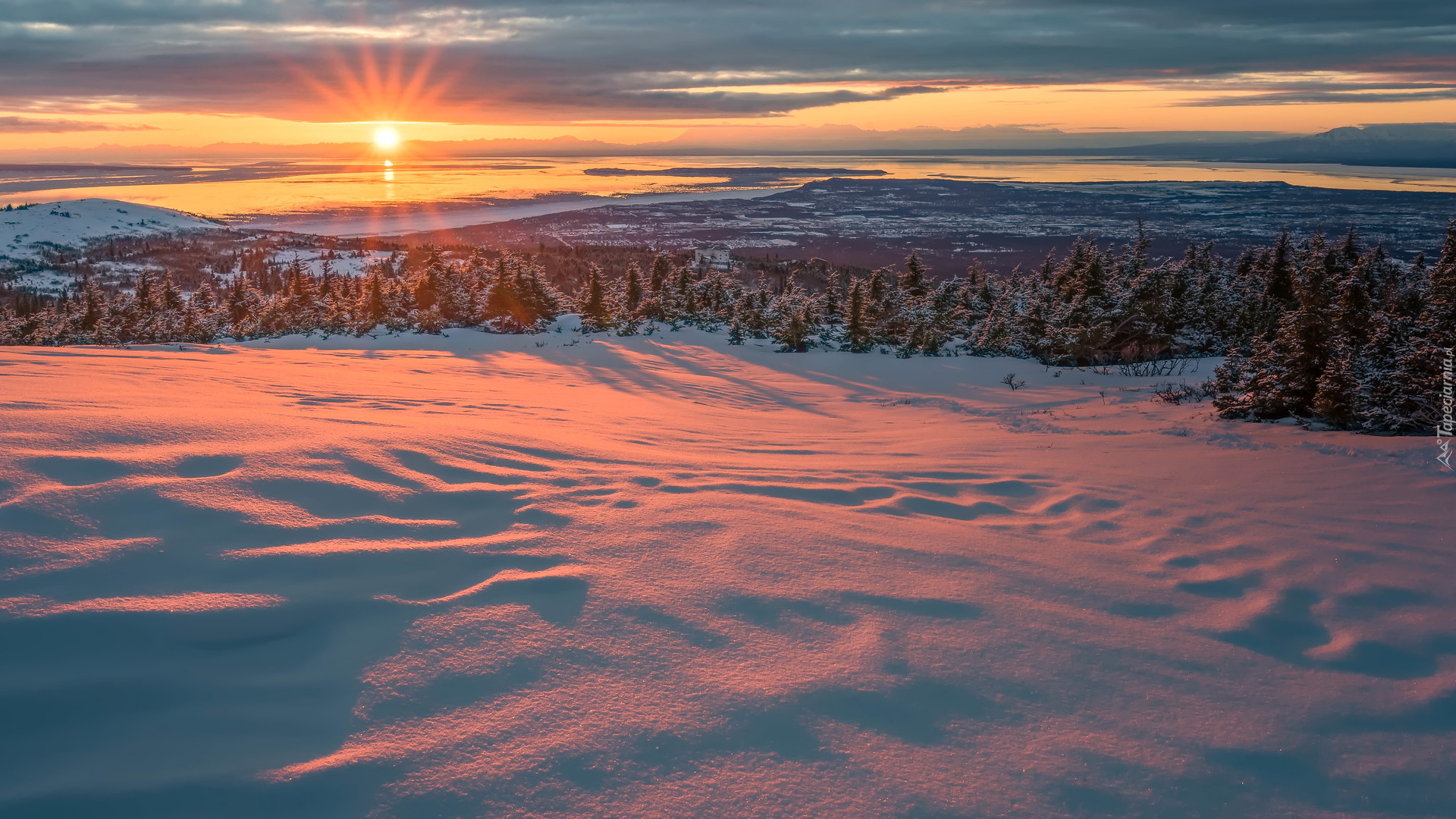 Zima, Promienie słońca, Zatoka Cooka, Ośnieżone, Drzewa, Świerki, Anchorage, Alaska, Stany Zjednoczone