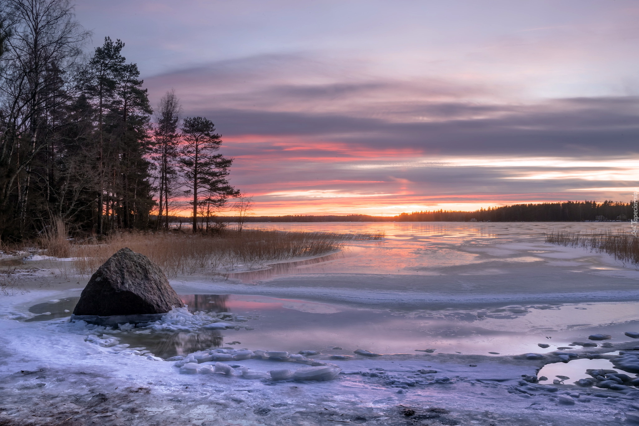 Finlandia, Miasto Kotka, Zatoka Fińska, Zachód słońca, Zima, Drzewa, Kamień