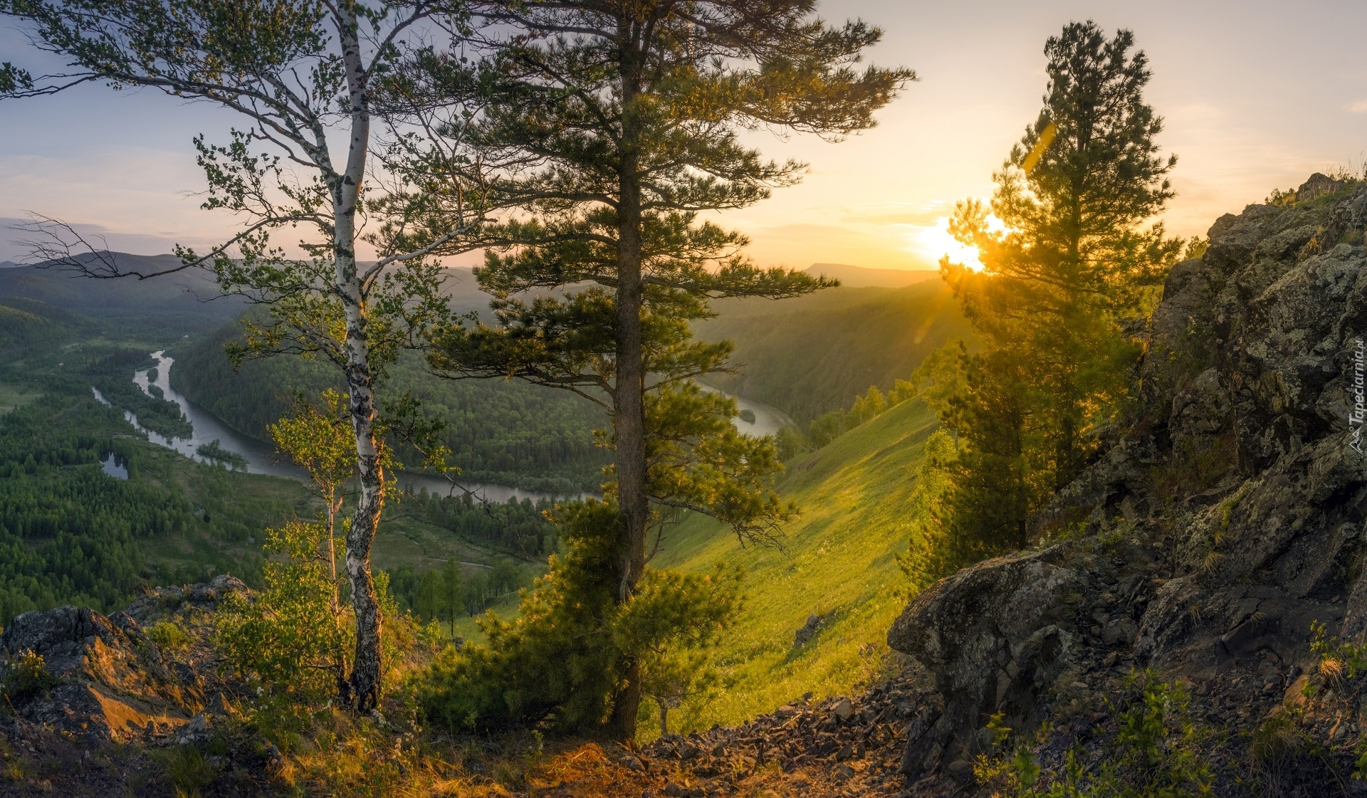 Góry, Las, Drzewa, Skały, Rzeka Mana, Wschód słońca, Kraj Krasnojarski, Rosja