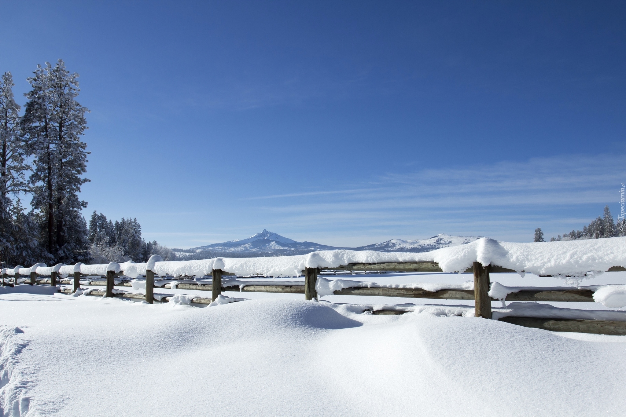 Zima, Śnieg, Ogrodzenie, Płot, Góry Białe, Góra Waszyngtona, Drzewa,  Black Butte Ranch, Stan Oregon, Stany Zjednoczone