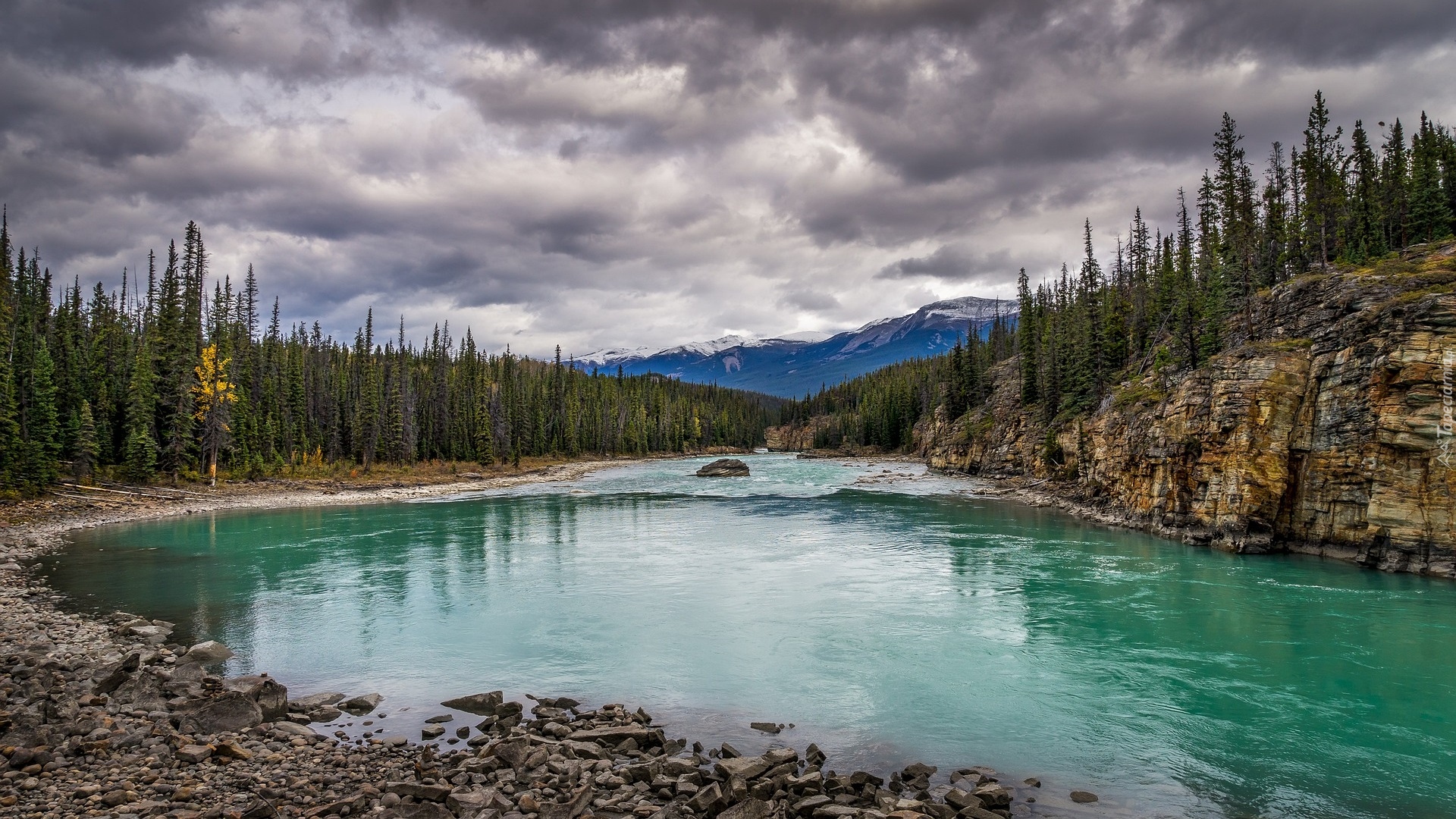 Rzeka Athabaskana, Góry, Skały, Świerki, Kamienie, Park Narodowy Jasper, Alberta, Kanada