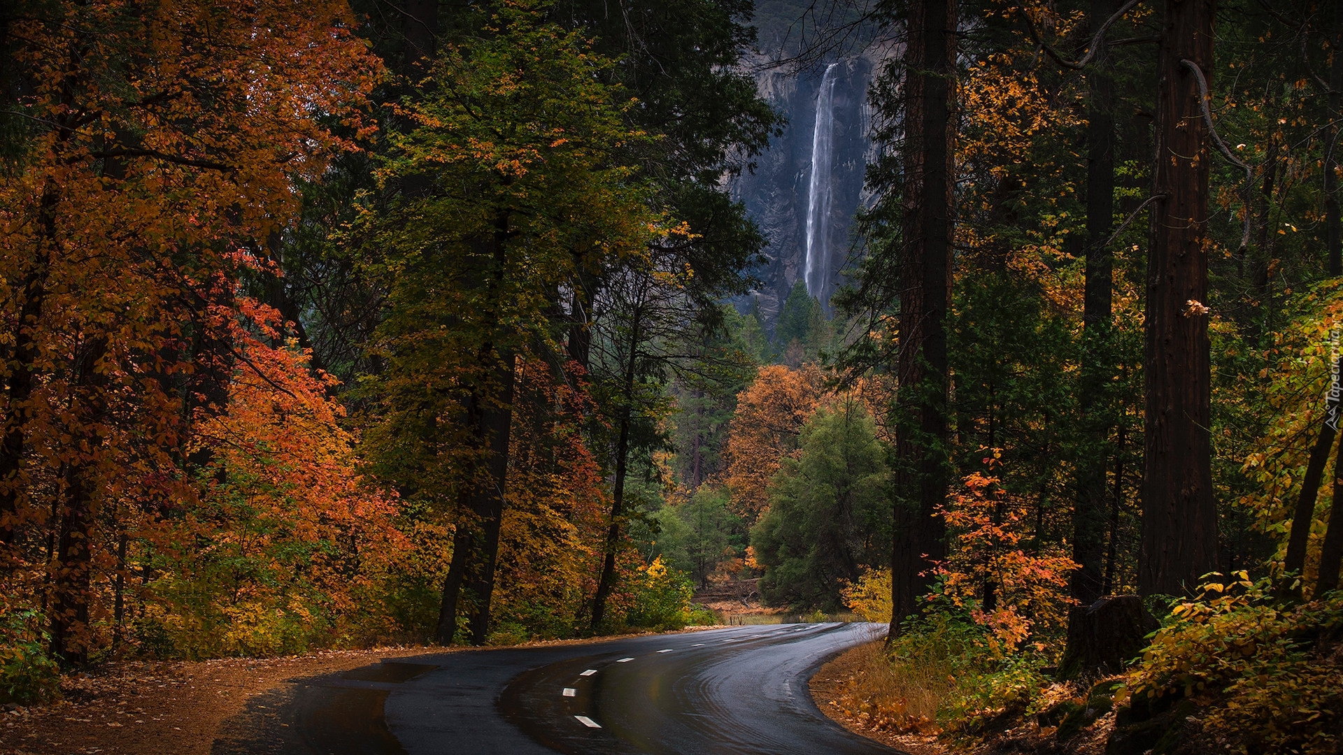 Stany Zjednoczone, Kalifornia, Park Narodowy Yosemite, Jesień, Drzewa, Droga, Wodospad, Bridalveil Fall, Las