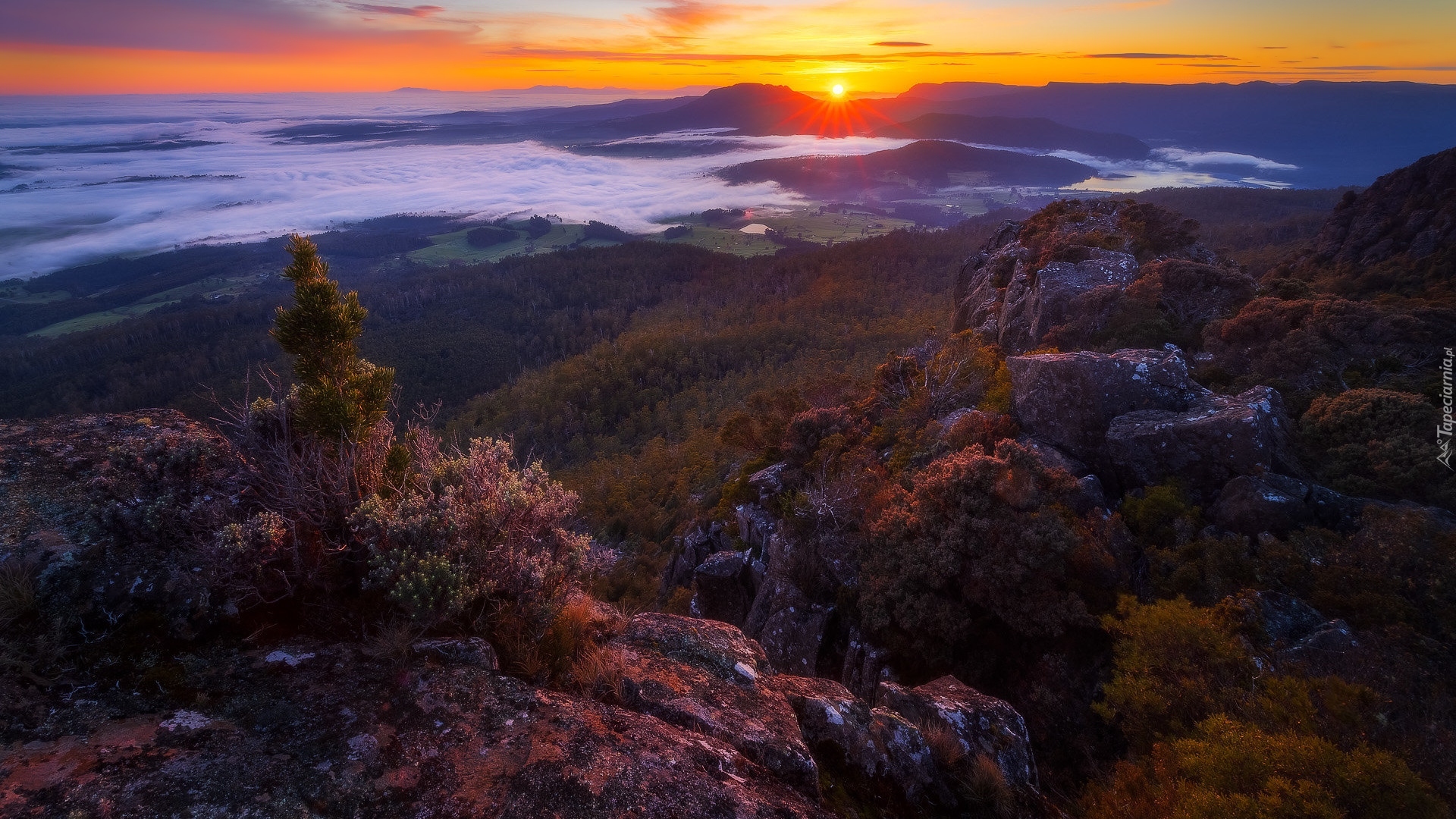 Zachód słońca, Skały, Drzewa, Opadająca, Mgła, Góra, Mother Cummings Peak, Dolina, Meander Valley, Tasmania, Australia