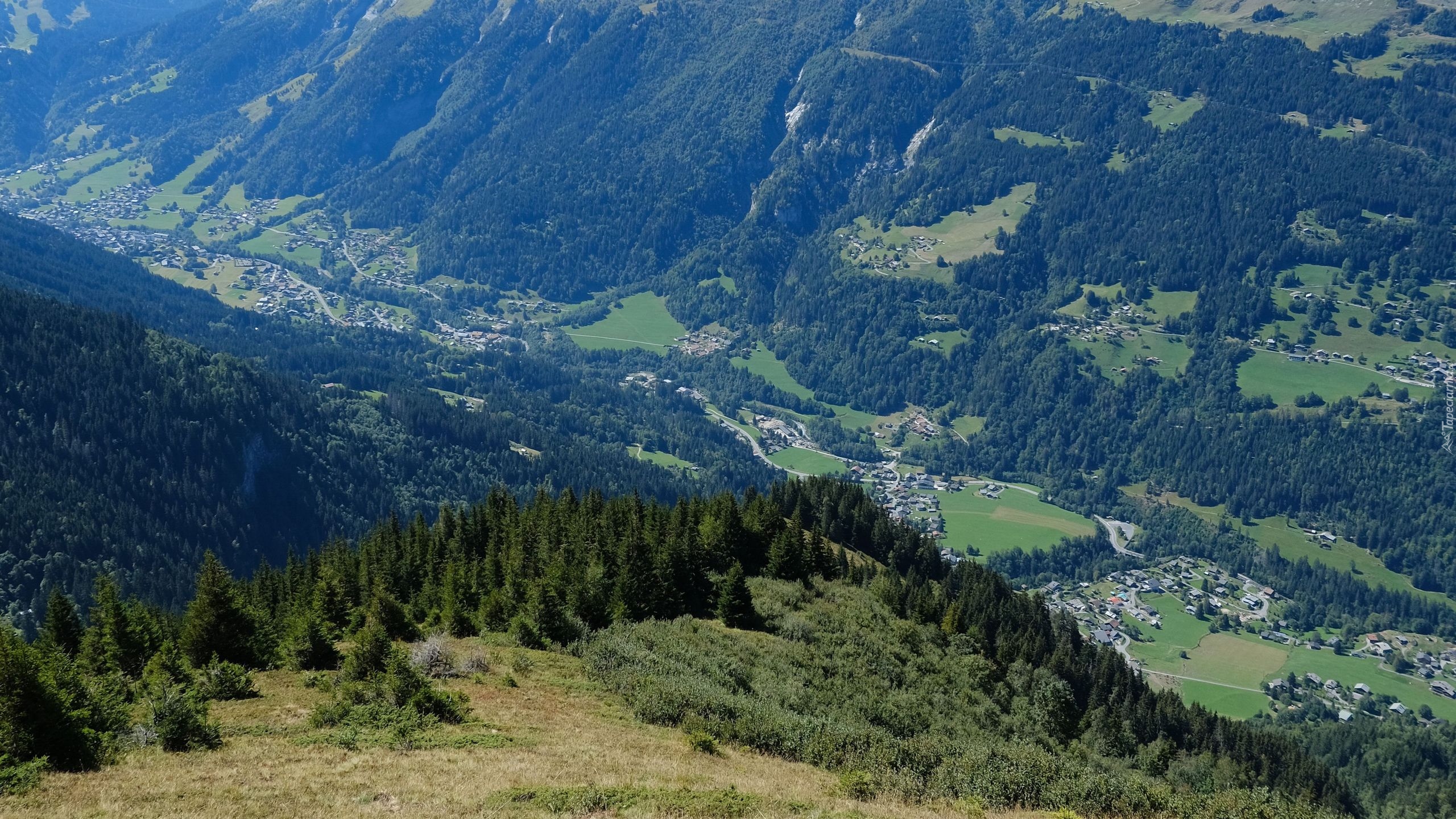 Zalesione, Góry, Dolina, Wioska, Zabudowania, Drogi