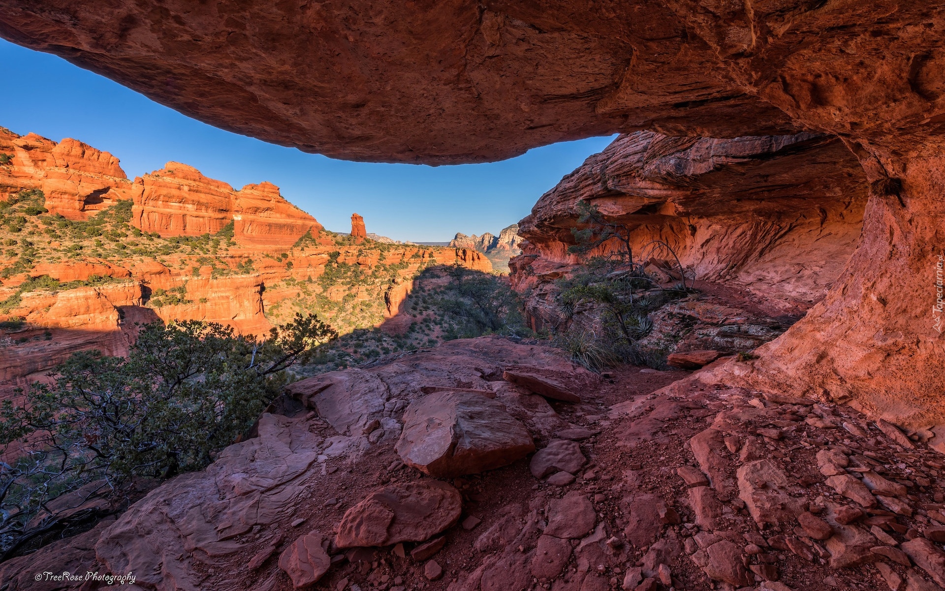 Stany Zjednoczone, Arizona, Sedona, Skały, Czerwone, Krzewy