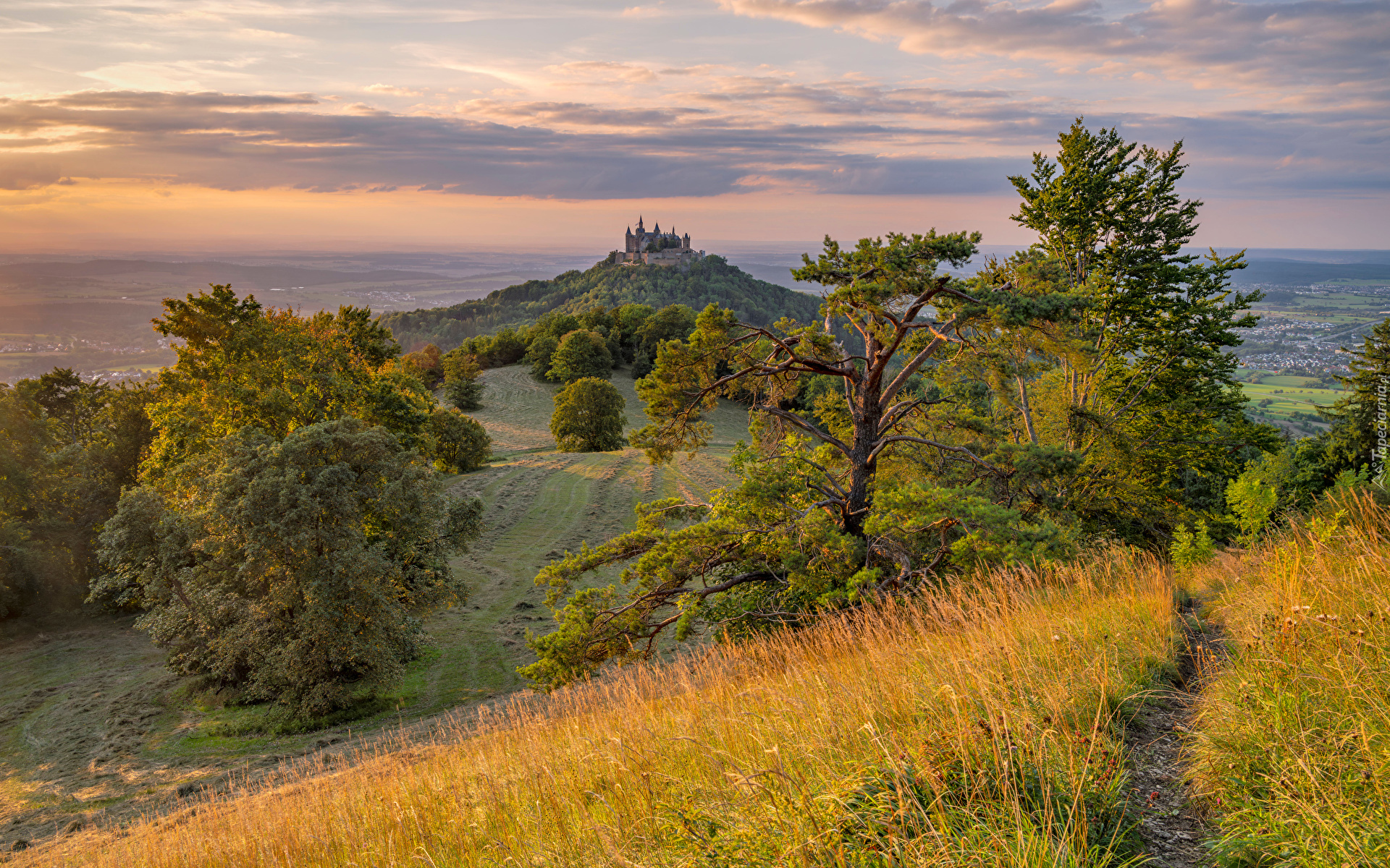 Góry, Góra Hohenzollern, Zamek Hohenzollern, Drzewa, Trawa, Niemcy