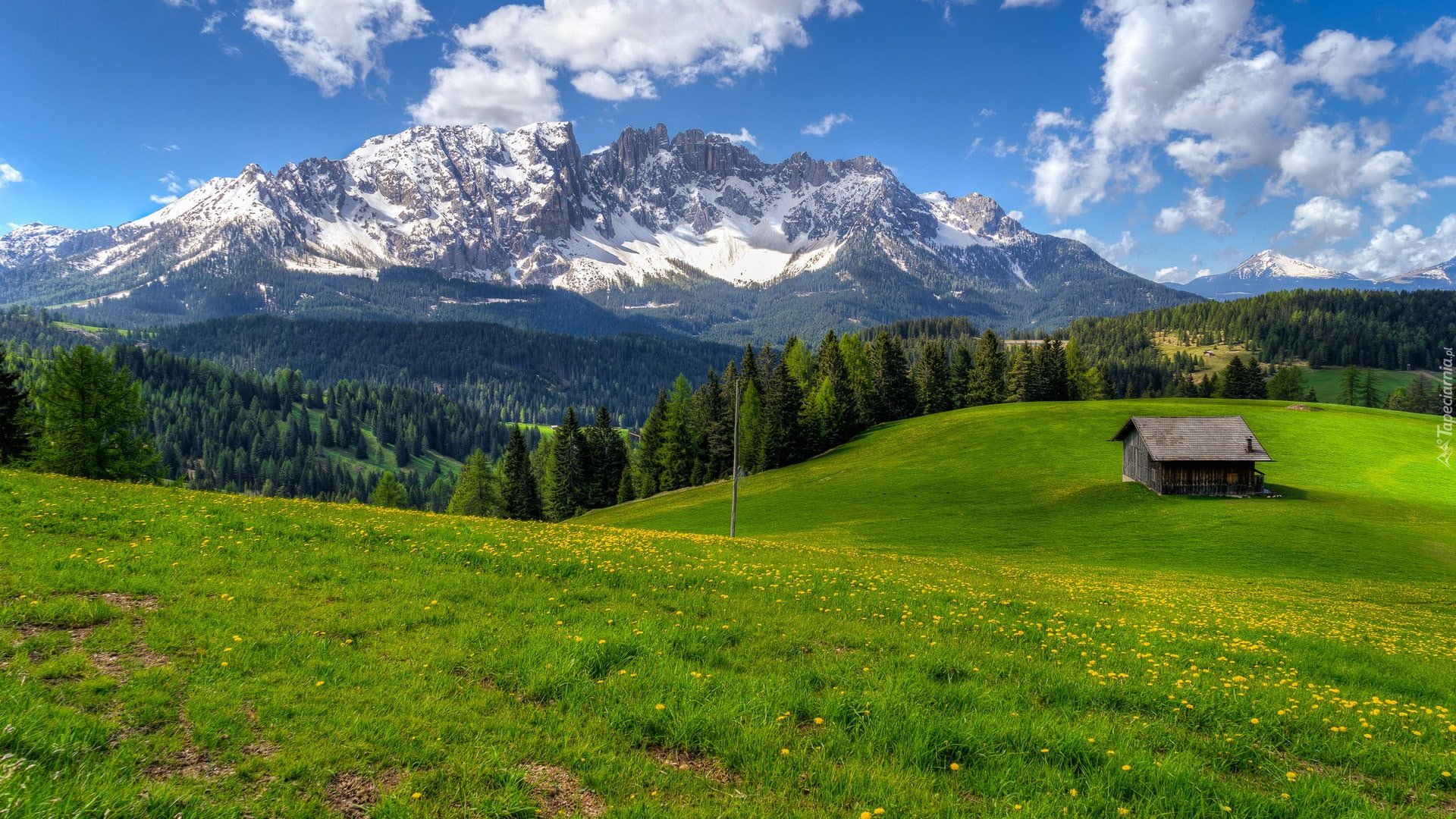 Łąka, Dom, Las, Góry, Dolomity, Góra Latemar, Włochy